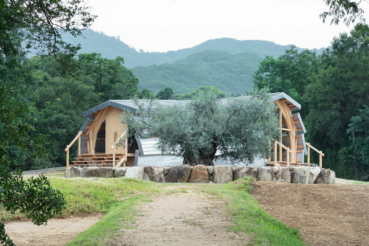 olive，wooden ，house，environment protection，