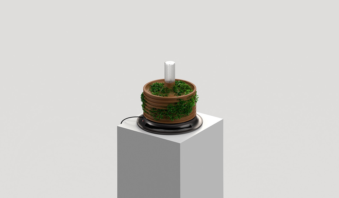Pottery，Botany，Hydroponic culture，intelligence，
