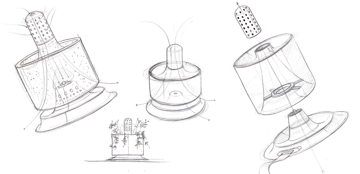 Pottery，Botany，Hydroponic culture，intelligence，