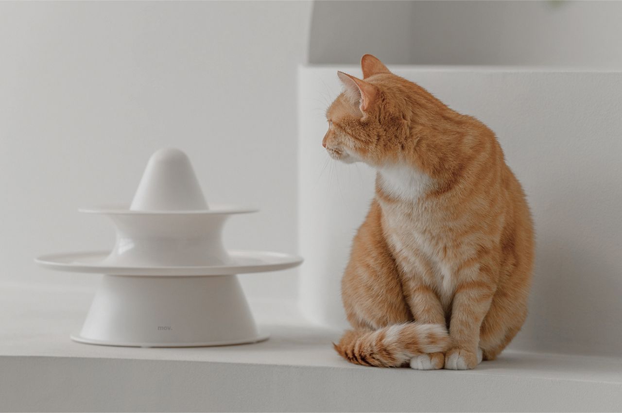 Triangle，Toys，Pet Supplies & Pet，Pet toys，