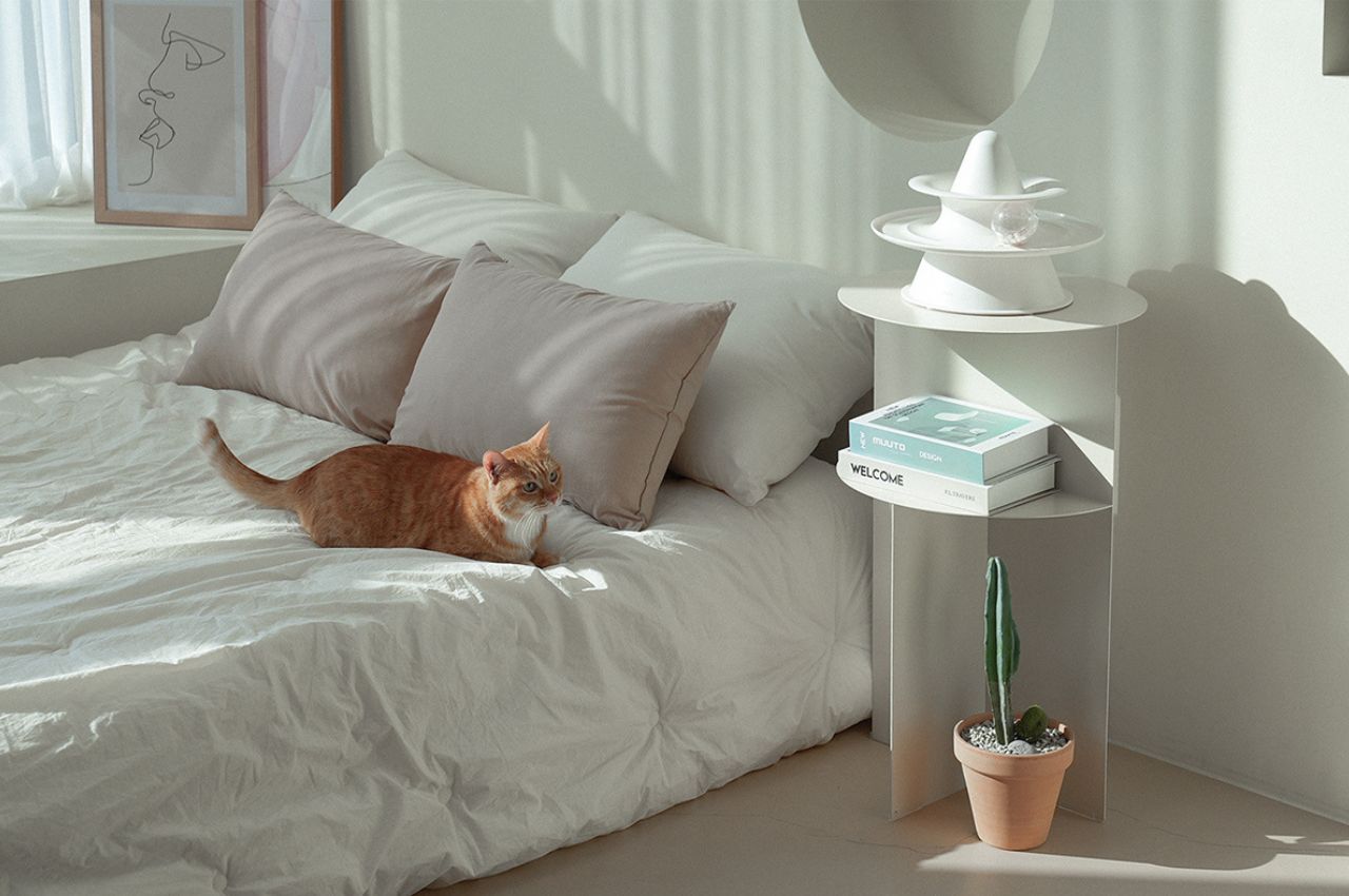 Triangle，Toys，Pet Supplies & Pet，Pet toys，