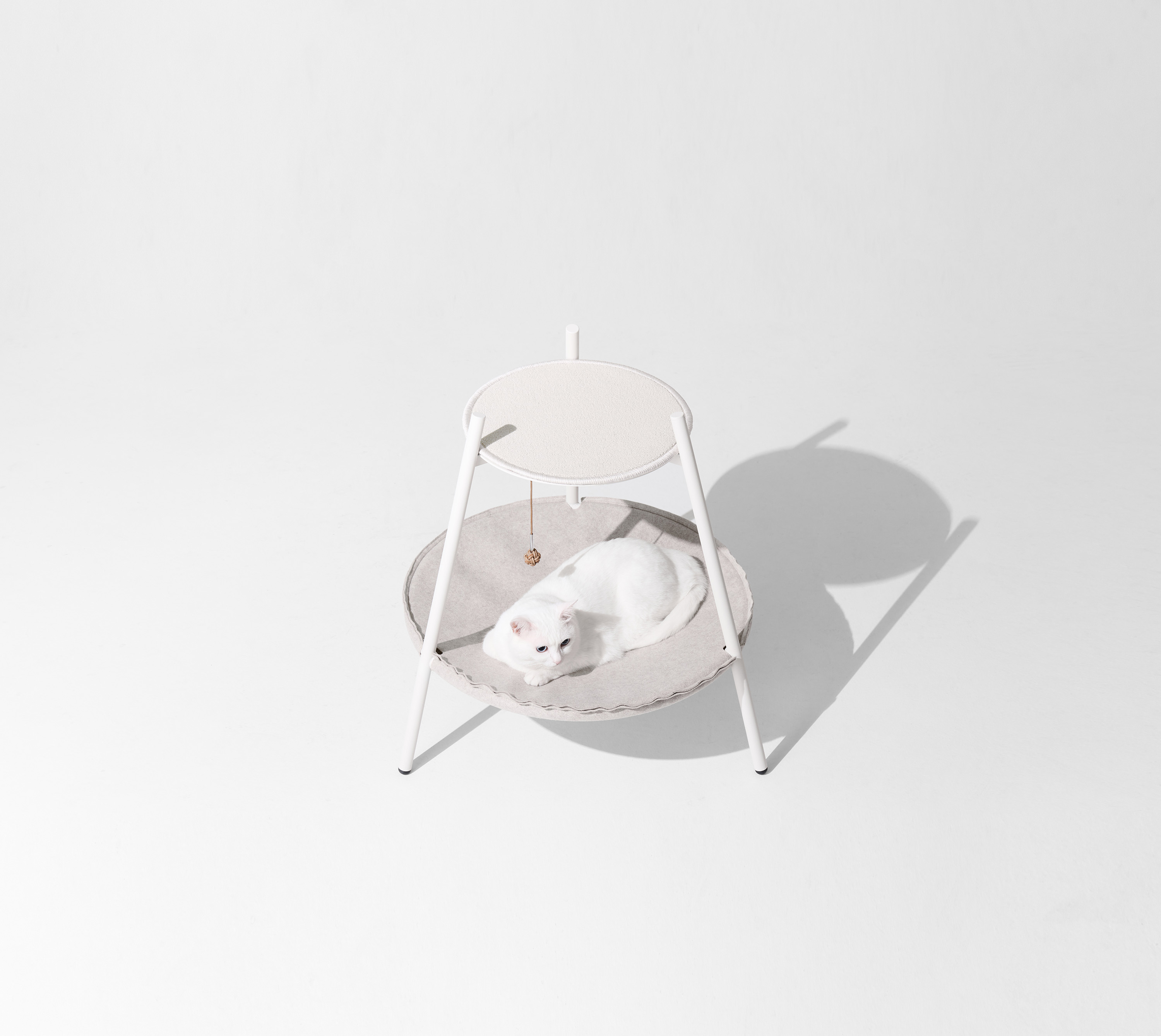 Cat Hammock，Pets，product design，product，design，