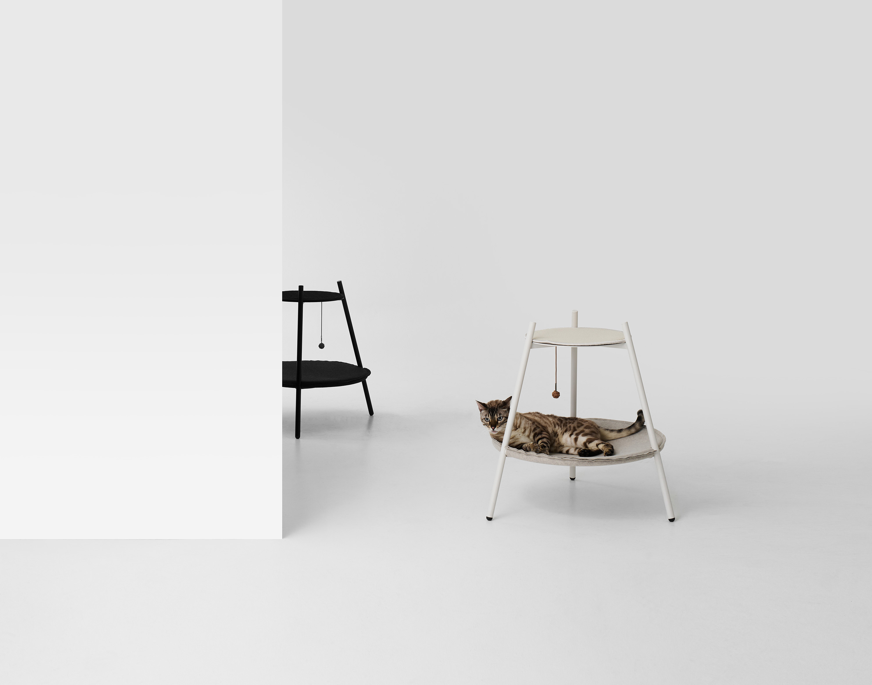 Cat Hammock，Pets，product design，product，design，