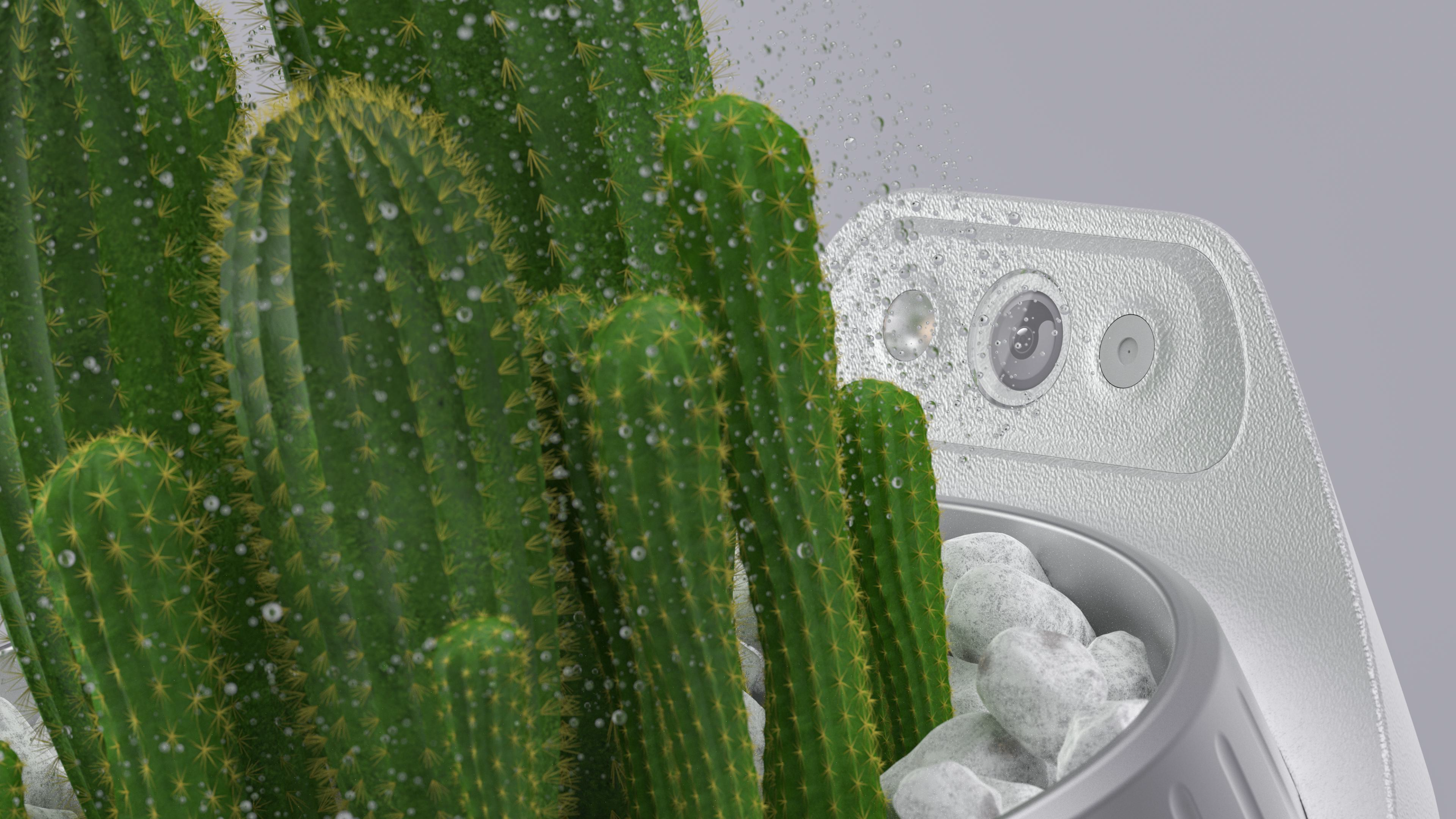 Potted plants，Botany，curing，intelligence，science and technology，