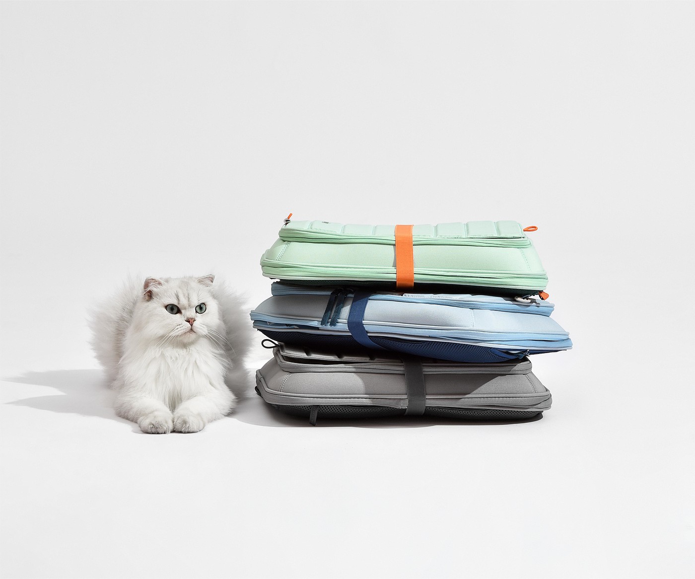 industrial design，Pet products，knapsack，product design，