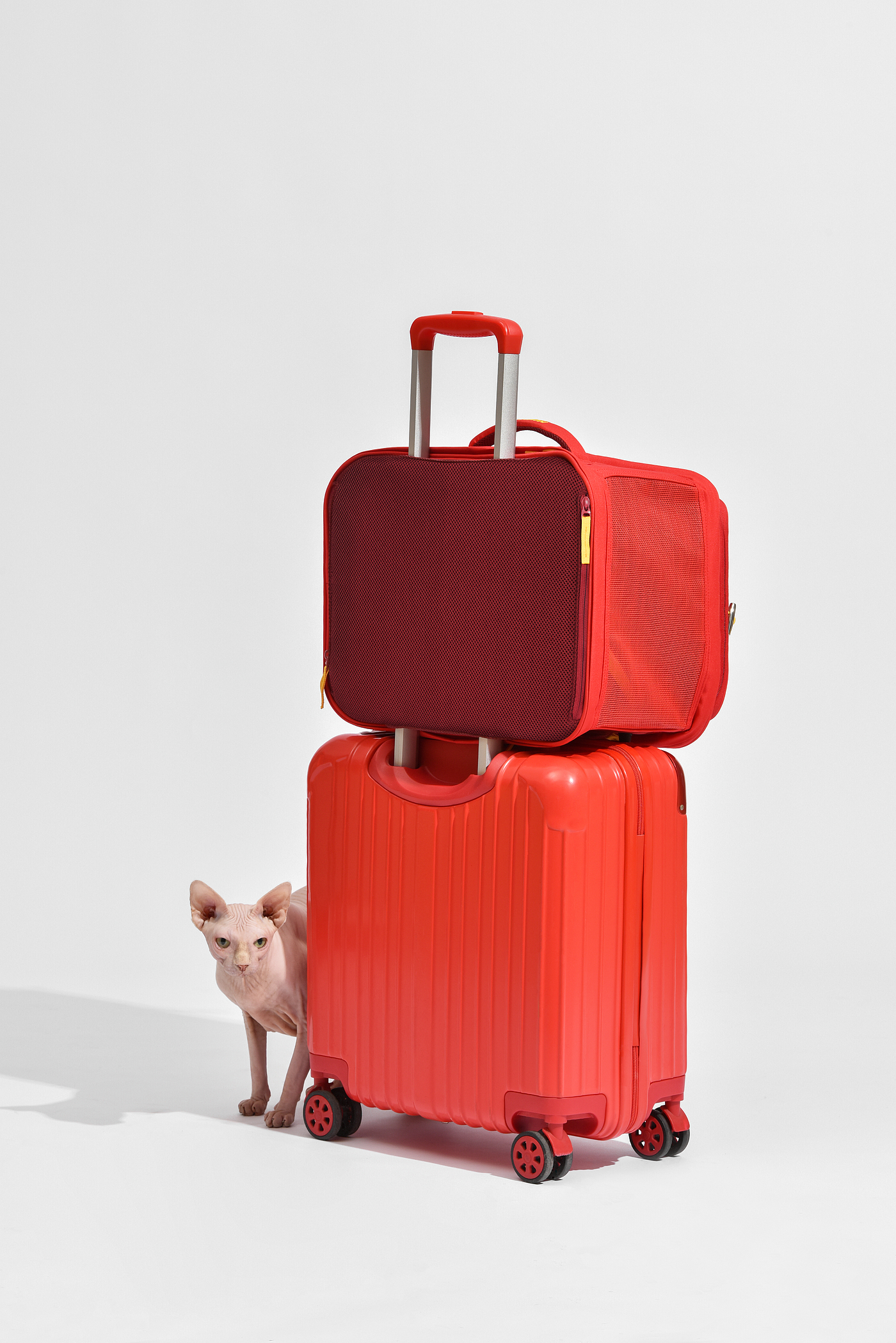 industrial design，Pet products，knapsack，product design，