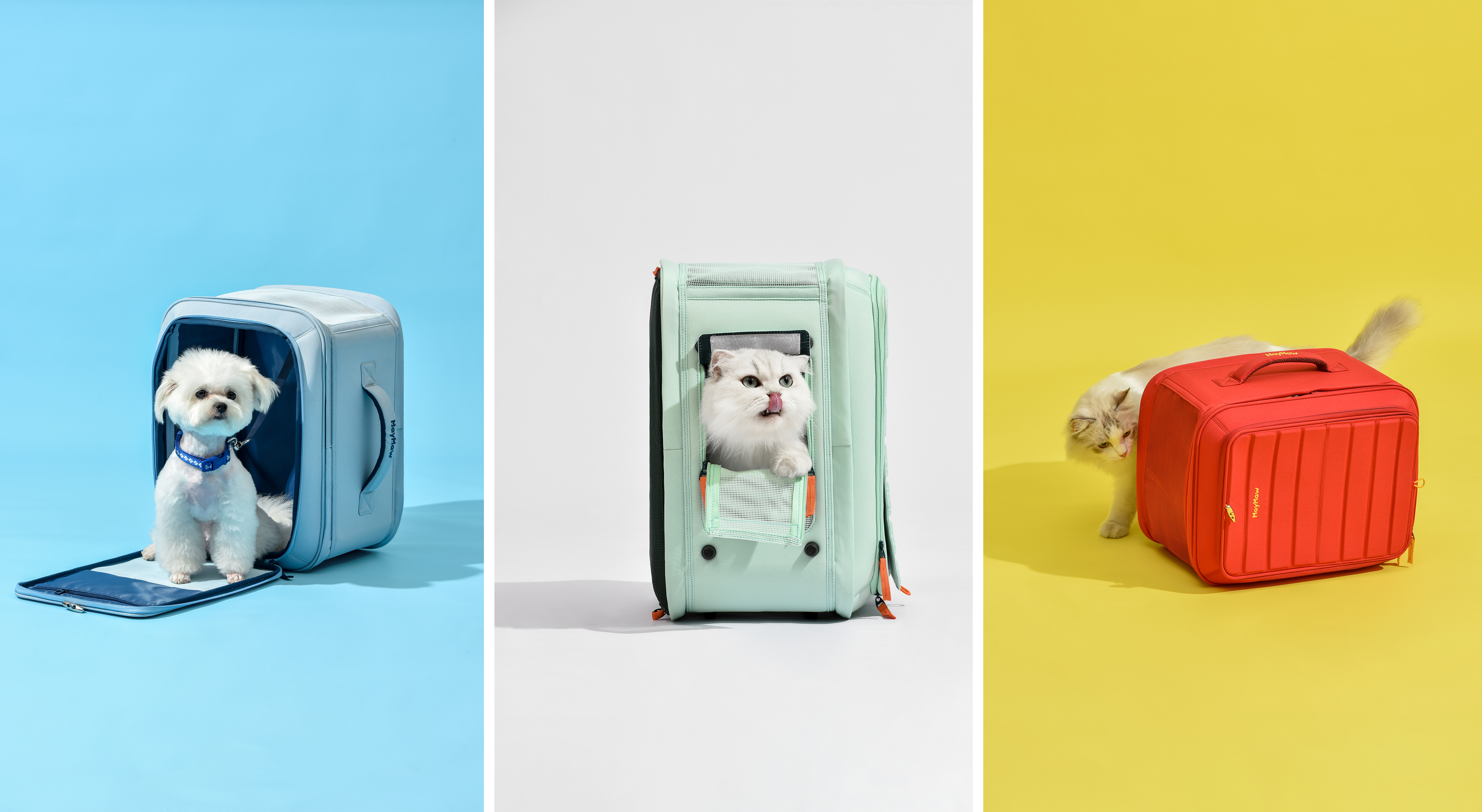 industrial design，Pet products，knapsack，product design，