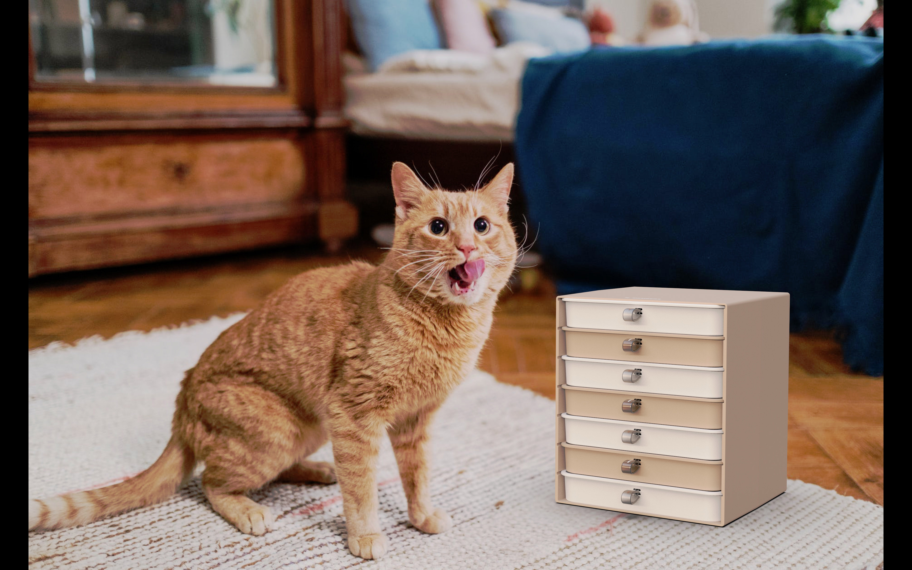 Seven days cat bowl，Keep it fresh every day.，Pet plate，