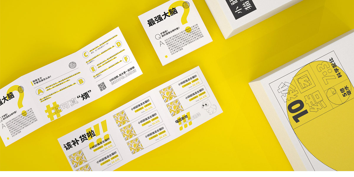 Brand Image Strategy and Positioning，Packaging Strategy and Creative Design，