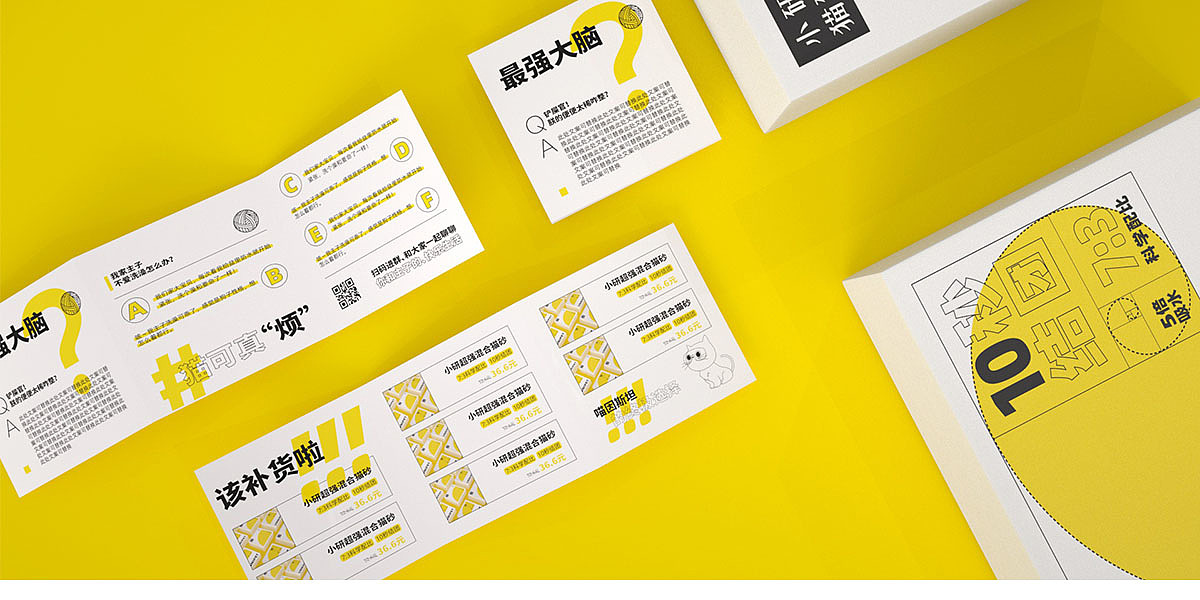Brand Image Strategy and Positioning，Packaging Strategy and Creative Design，
