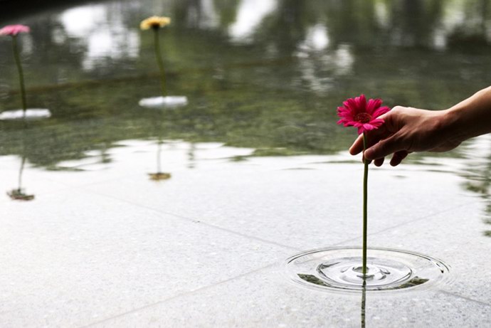 pottery clay，ceramics，Combined vase，storage box，Receive，Wall decoration，Wood and glass，deer，Antlers，decorate，bionics，flower arrangement，vase，Floral apparatus，