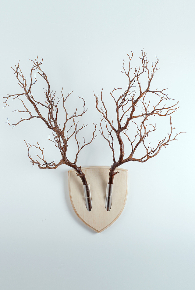 pottery clay，ceramics，Combined vase，storage box，Receive，Wall decoration，Wood and glass，deer，Antlers，decorate，bionics，flower arrangement，vase，Floral apparatus，