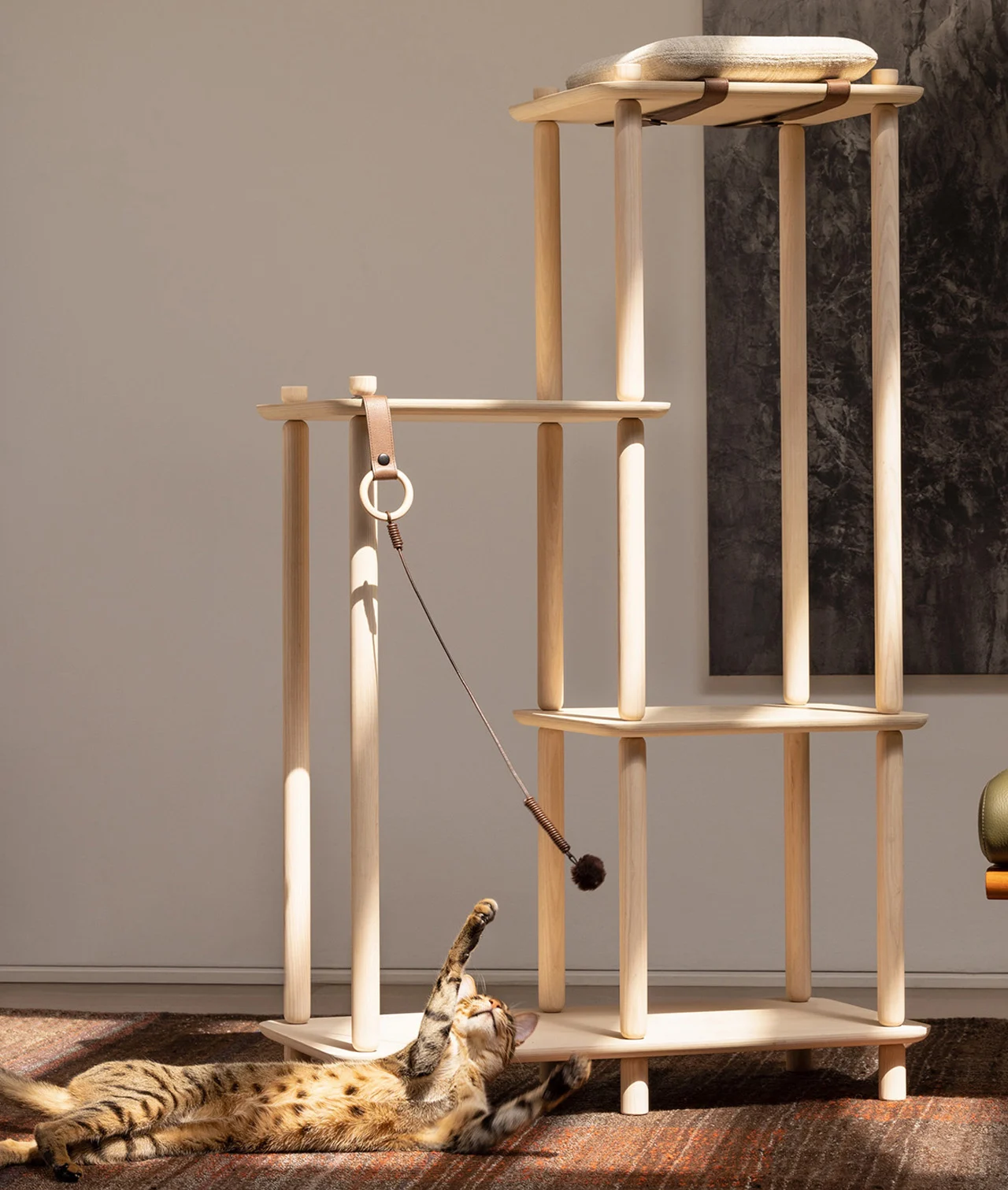 Pets，Cat tree，Connect，product design，product，