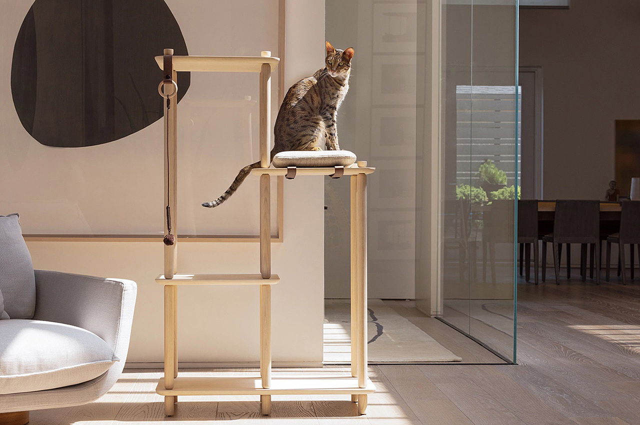 Pets，Cat tree，Connect，product design，product，