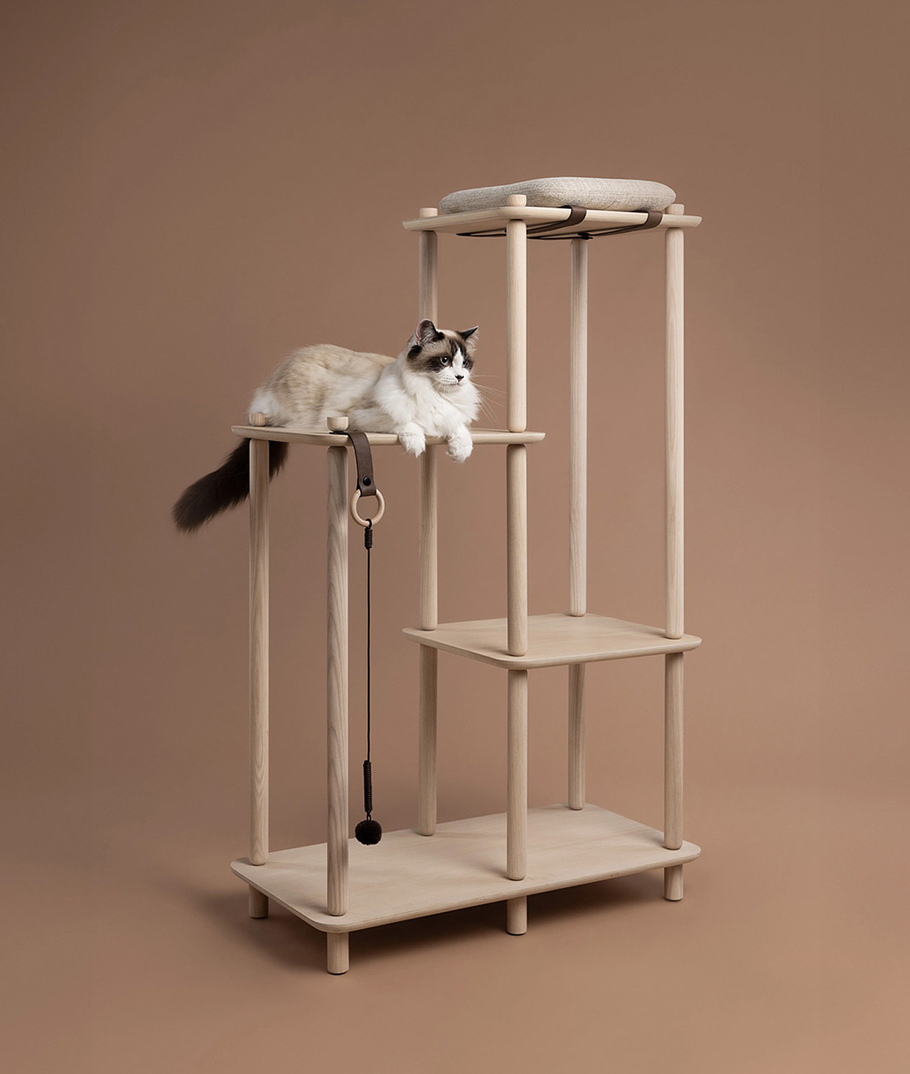 Pets，Cat tree，Connect，product design，product，