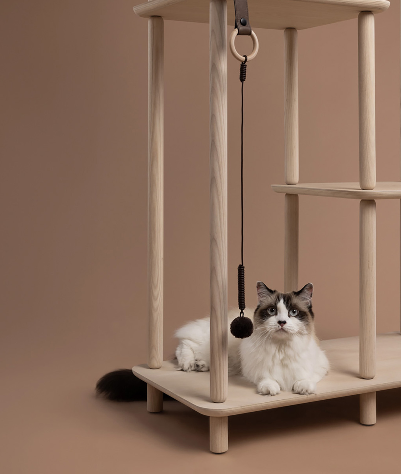 Pets，Cat tree，Connect，product design，product，