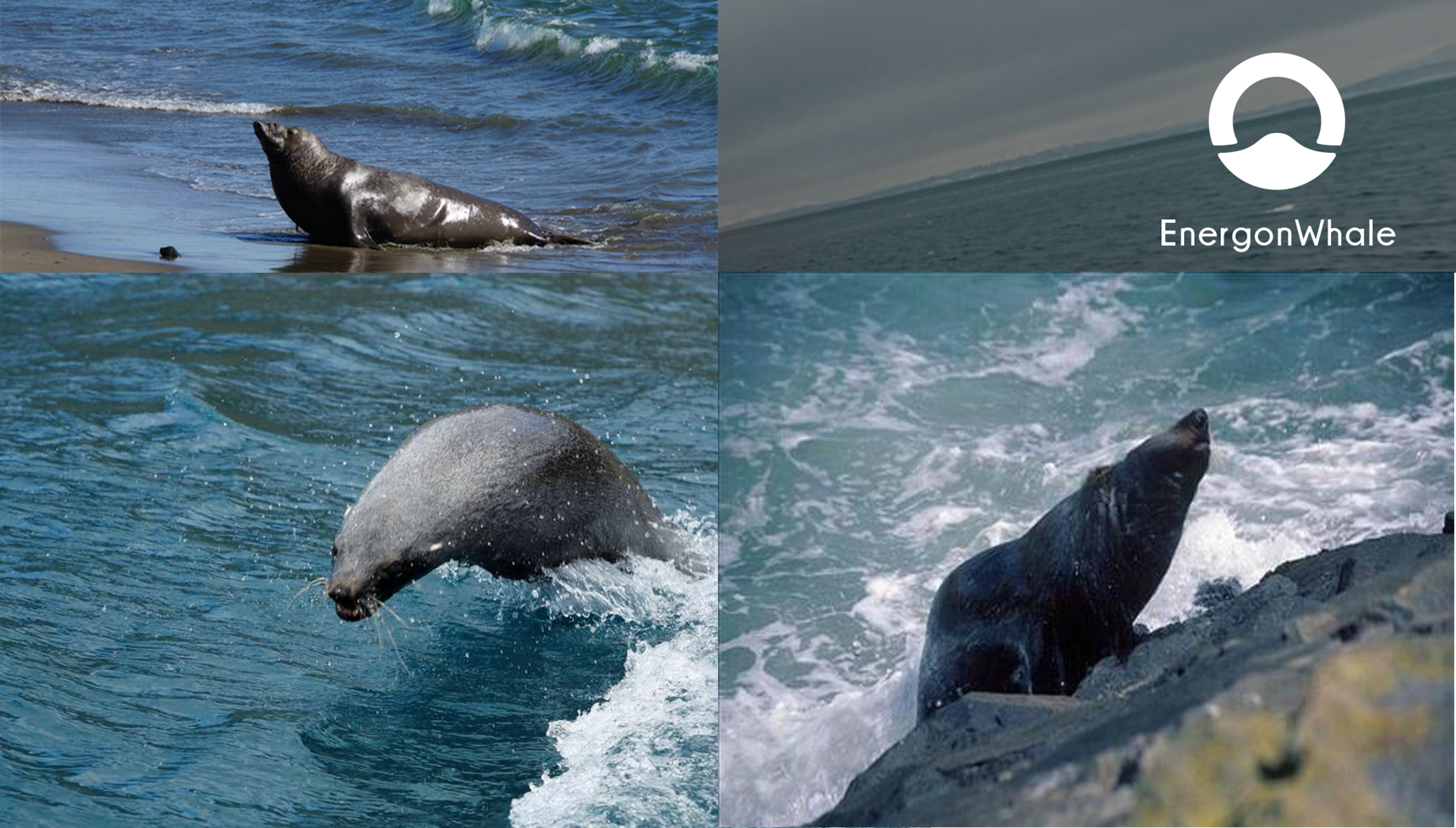 New Energy · RV Yacht · Case Brand Innovation Design，