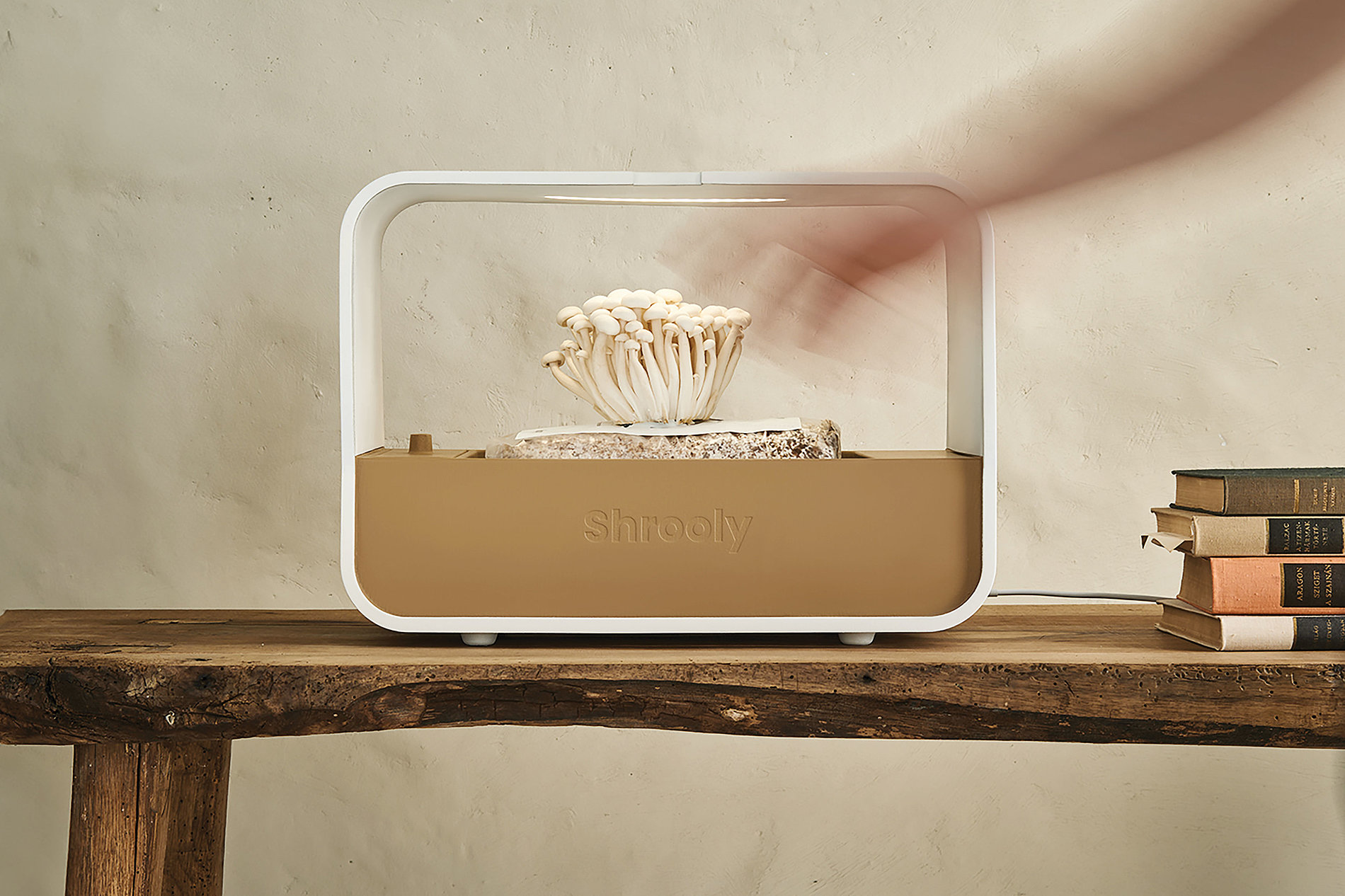 Shrooly，mushroom cultivation，Intelligent cultivation equipment，2023 Red Dot Design Concept Award，