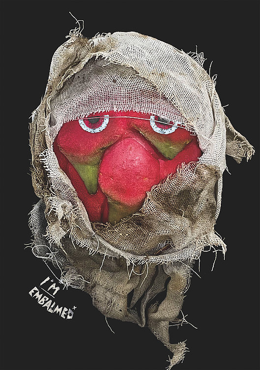 Fruit Mummy，The Fruit Mummy，artistic works，food preservative，2023 Red Dot Design Concept Award，