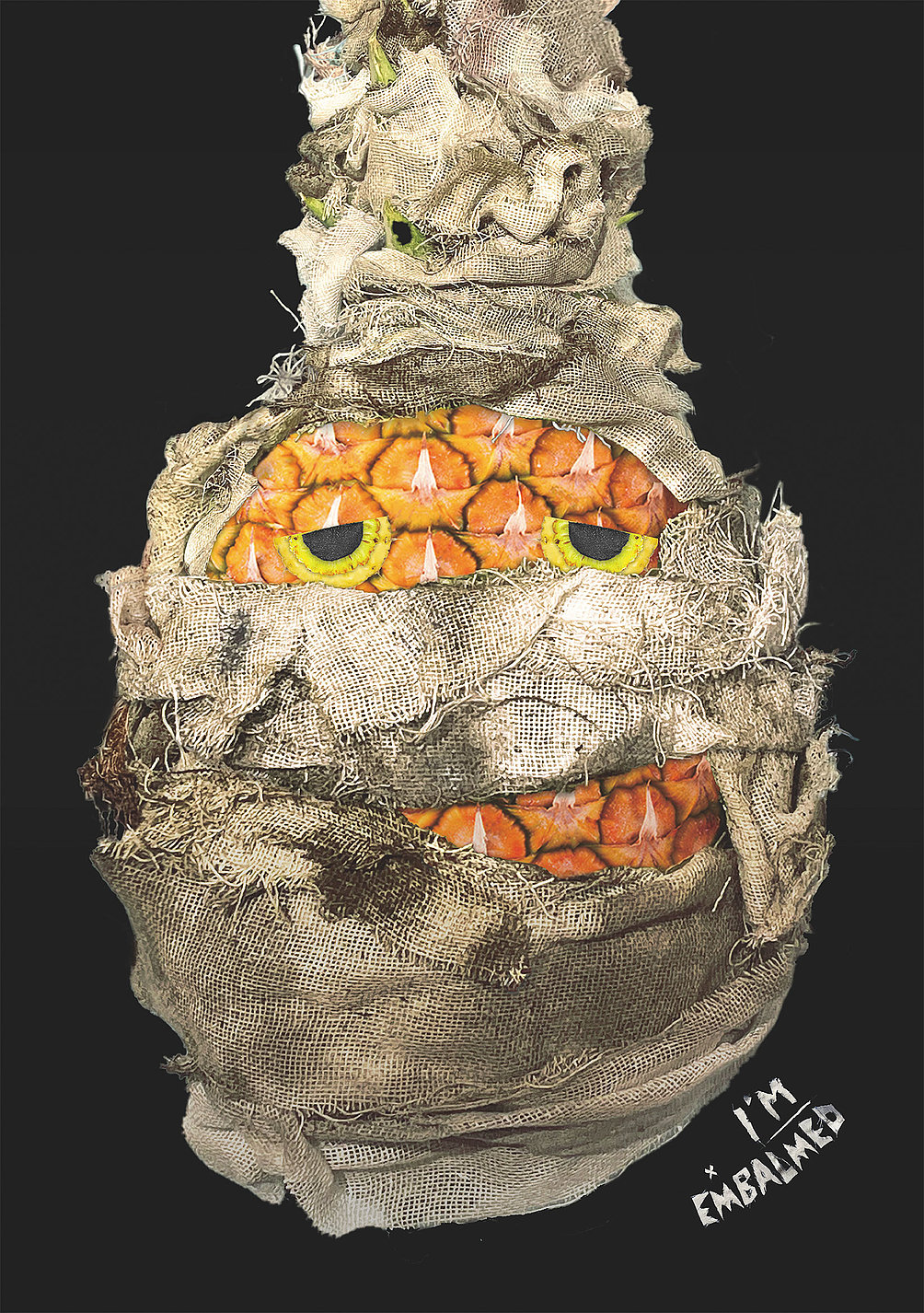 Fruit Mummy，The Fruit Mummy，artistic works，food preservative，2023 Red Dot Design Concept Award，