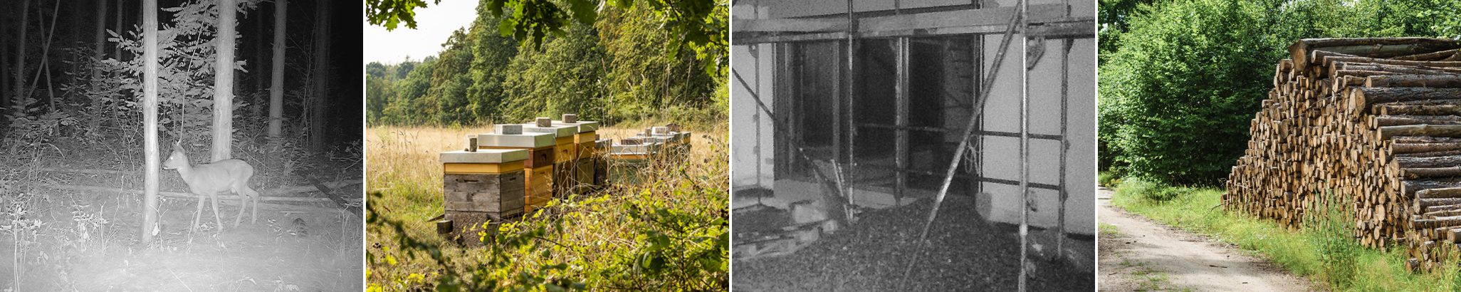 hunting camera，Monitoring equipment，