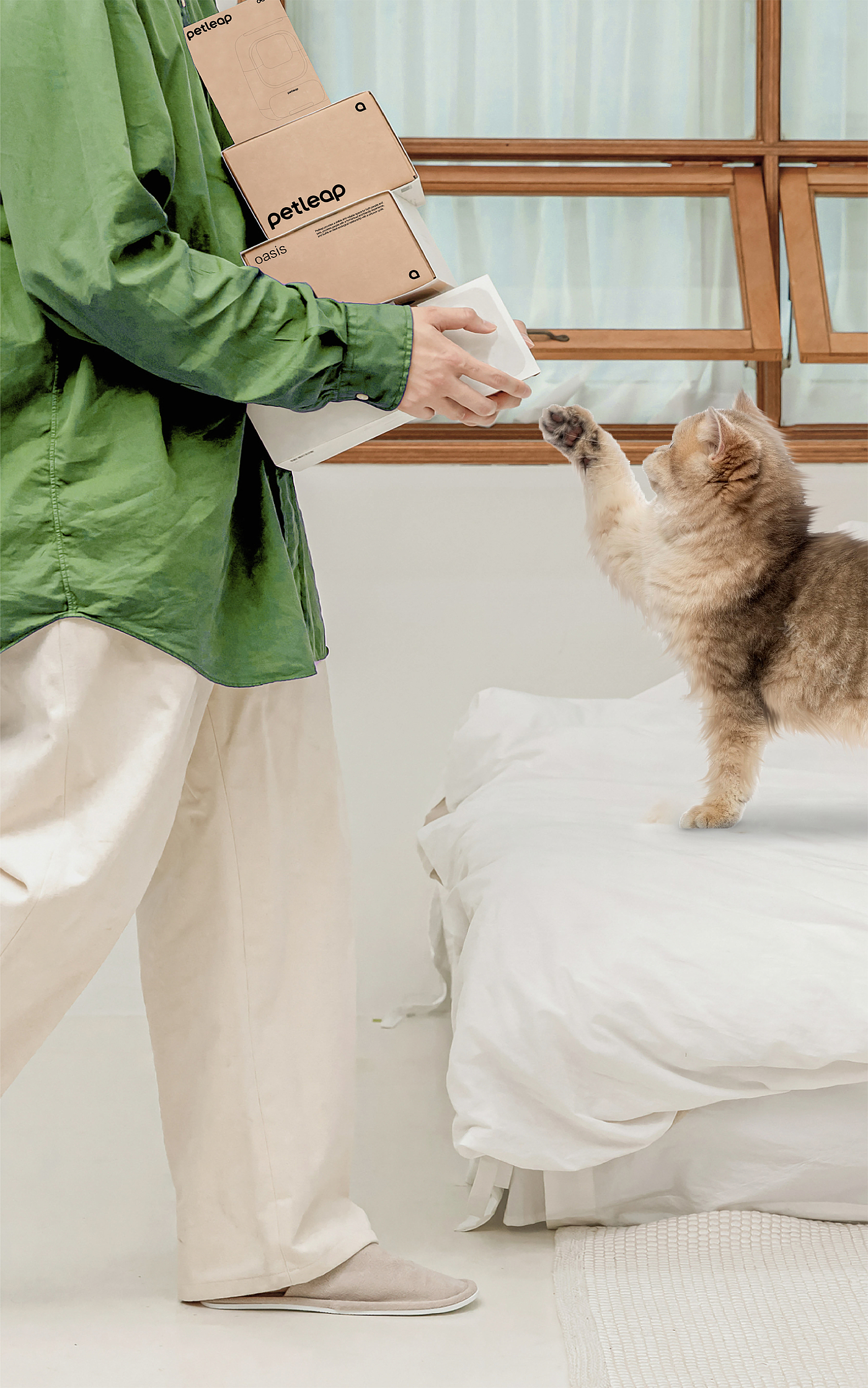 Brand design，Pet brand，Pets，packing design，VIS design，brand image strategy，Logo design，