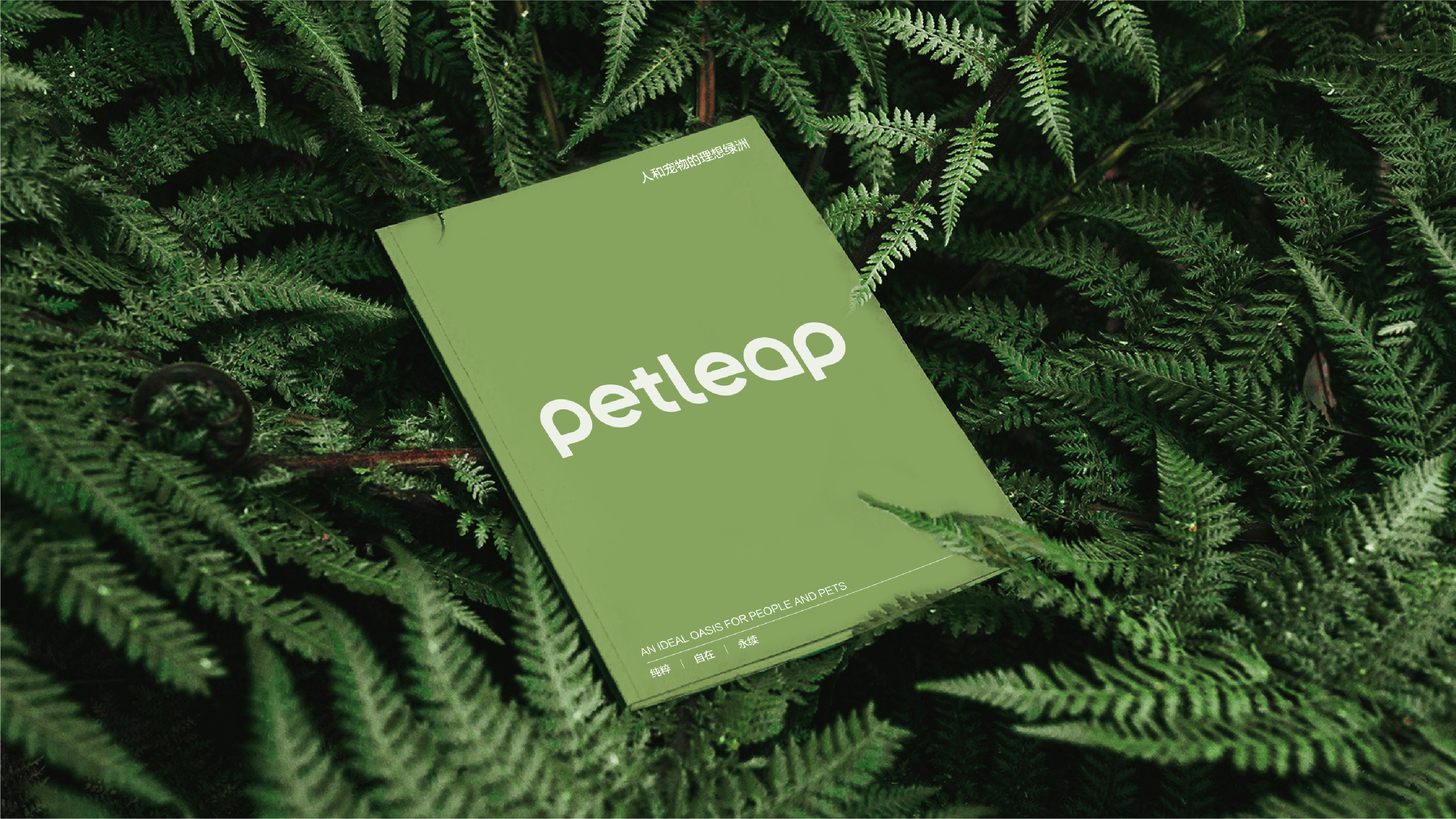 Brand design，Pet brand，Pets，packing design，VIS design，brand image strategy，Logo design，