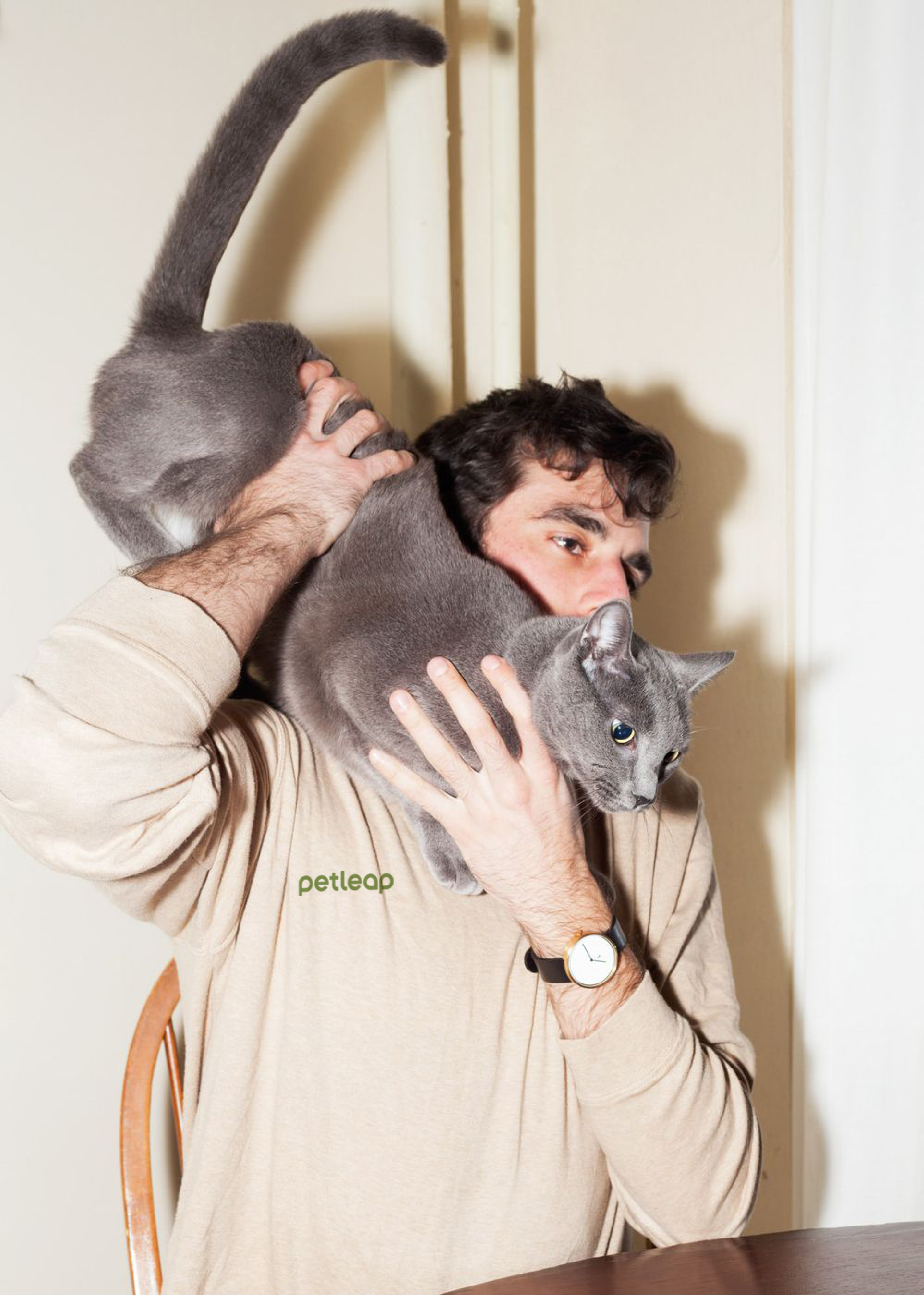 Brand design，Pet brand，Pets，packing design，VIS design，brand image strategy，Logo design，