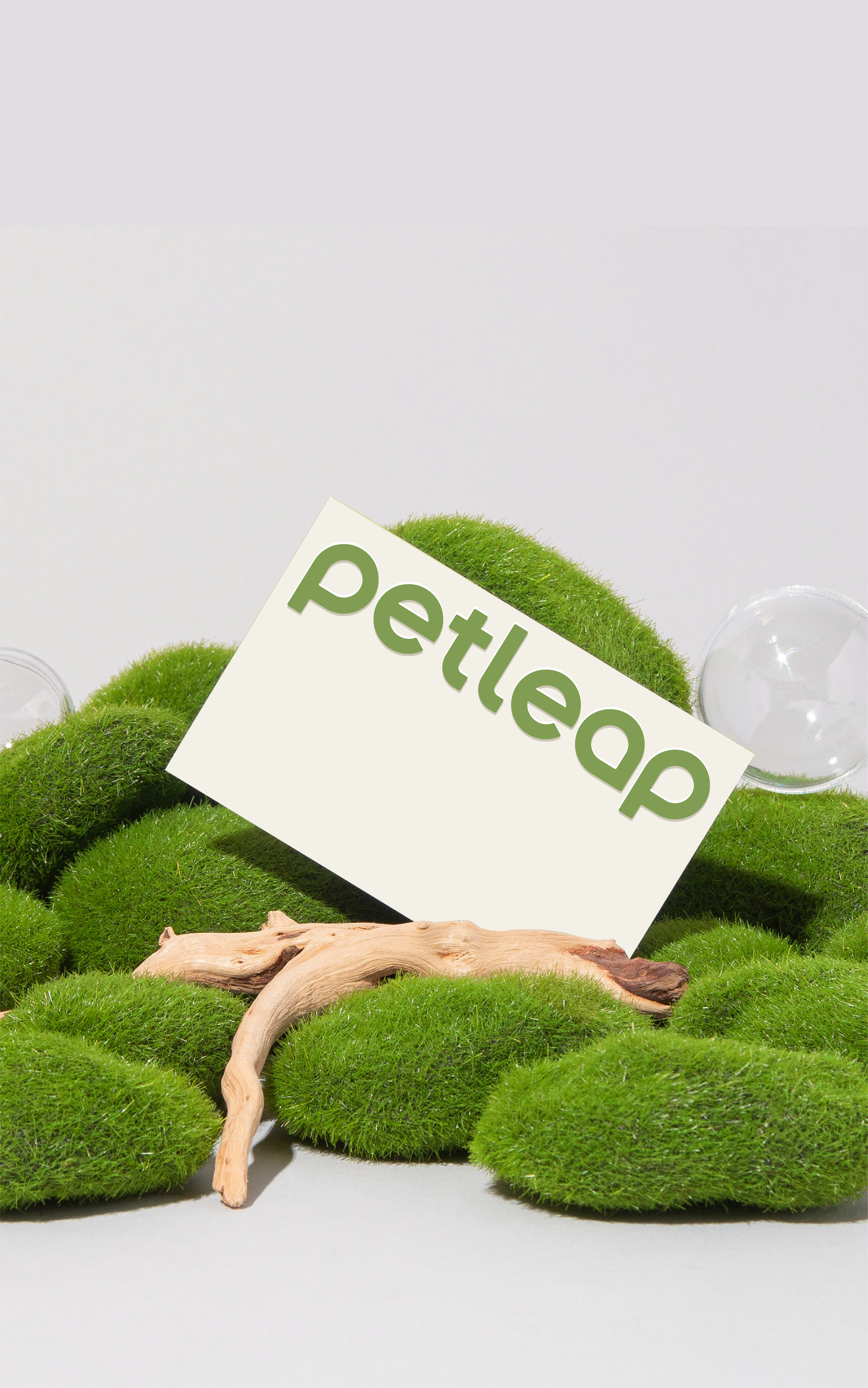 Brand design，Pet brand，Pets，packing design，VIS design，brand image strategy，Logo design，