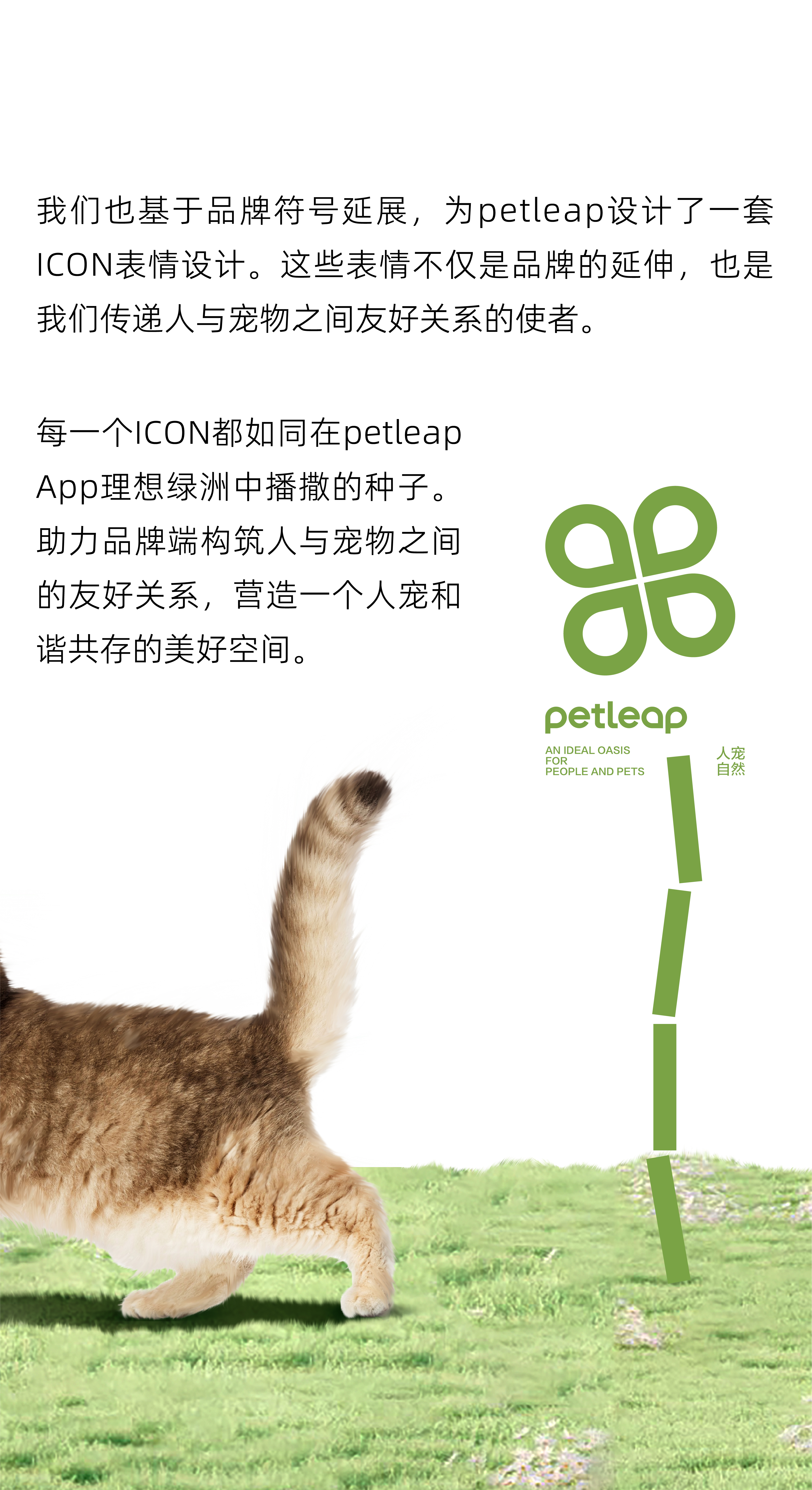 Brand design，Pet brand，Pets，packing design，VIS design，brand image strategy，Logo design，