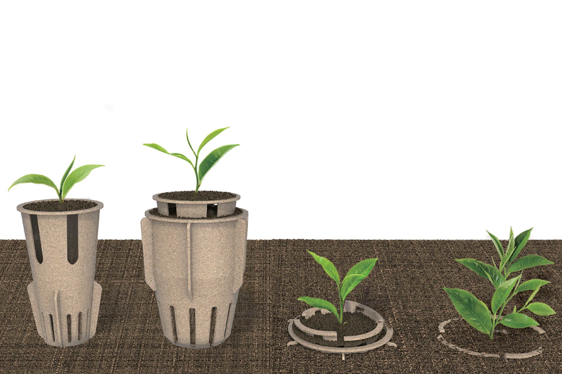sustainable，Tea seedling pot，Reuse，2023 Red Dot Design Concept Award，