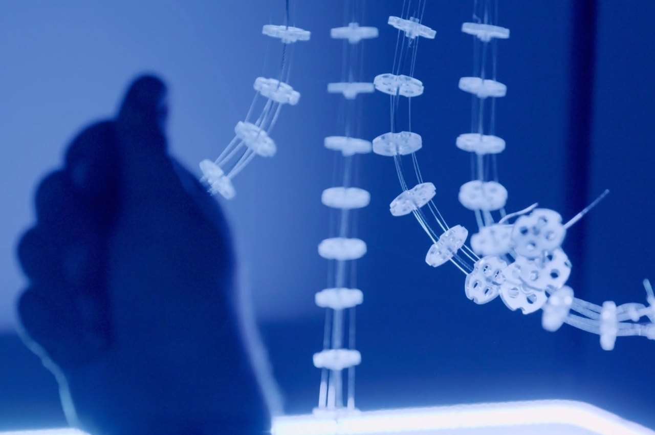 originality，artificial intelligence，jellyfish，Electronic equipment，