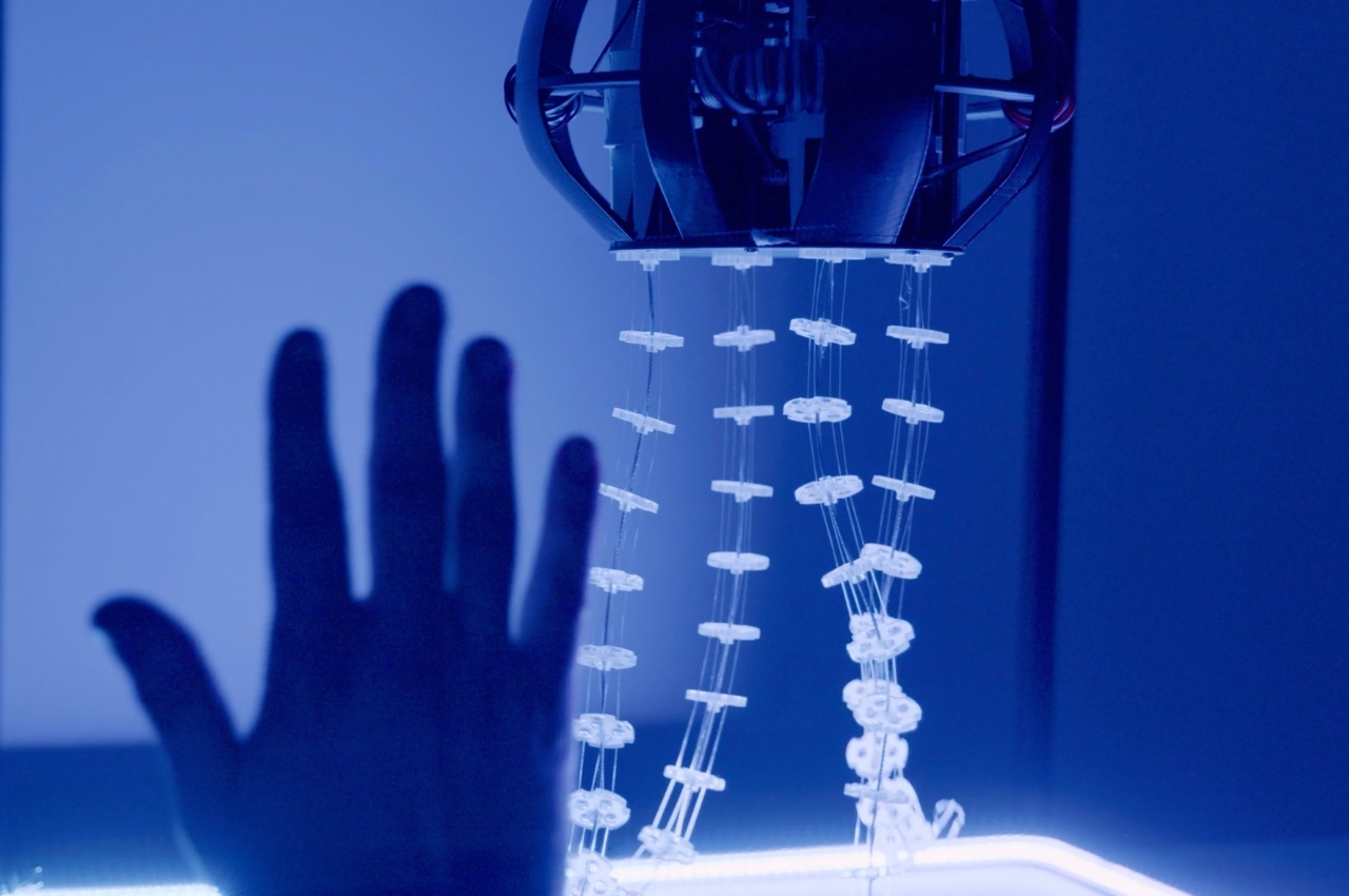 originality，artificial intelligence，jellyfish，Electronic equipment，