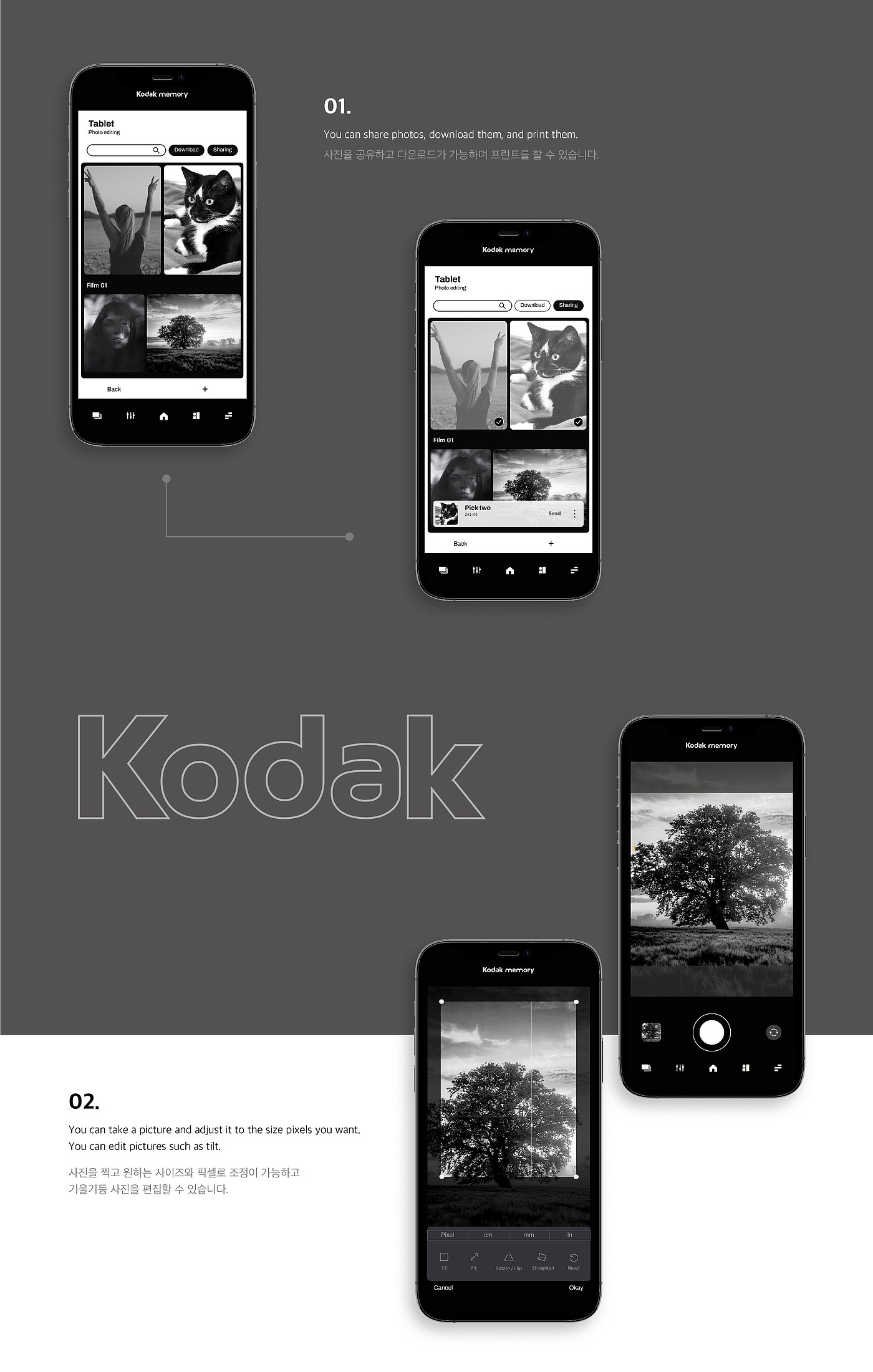 Kodak memory，热敏纸打印机，数码，柯达，