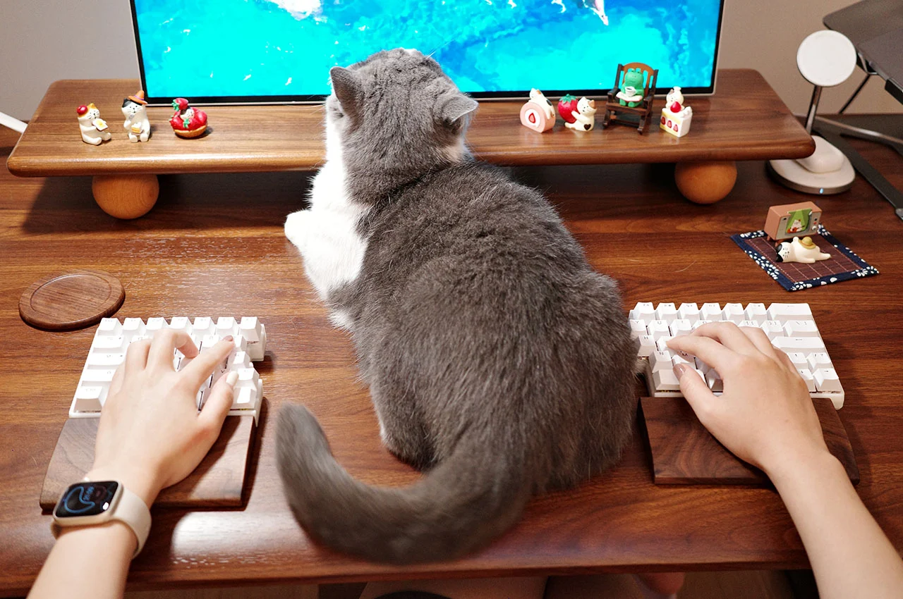 keyboard，Mechanical keyboard，product design，industrial design，product，