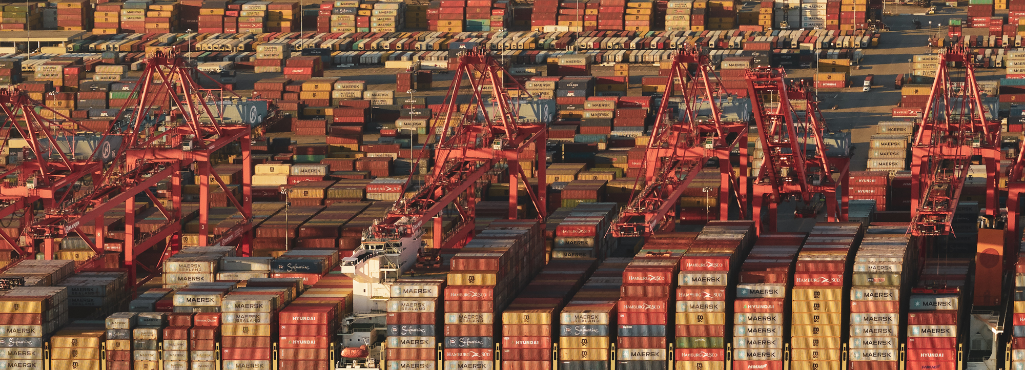 Project design，Port of Los Angeles，environmental design，