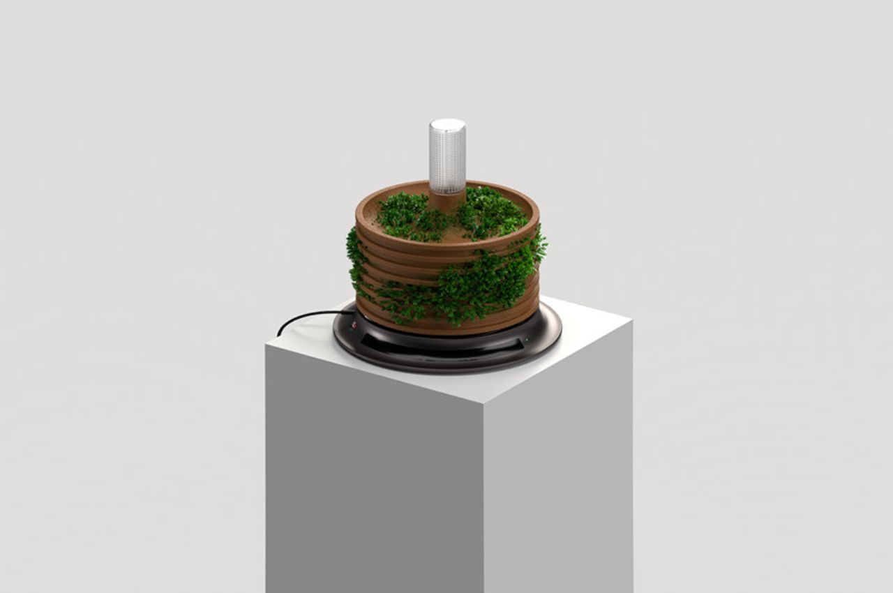 hydroponic flowerpot，Futurism，bionics，sustainable，