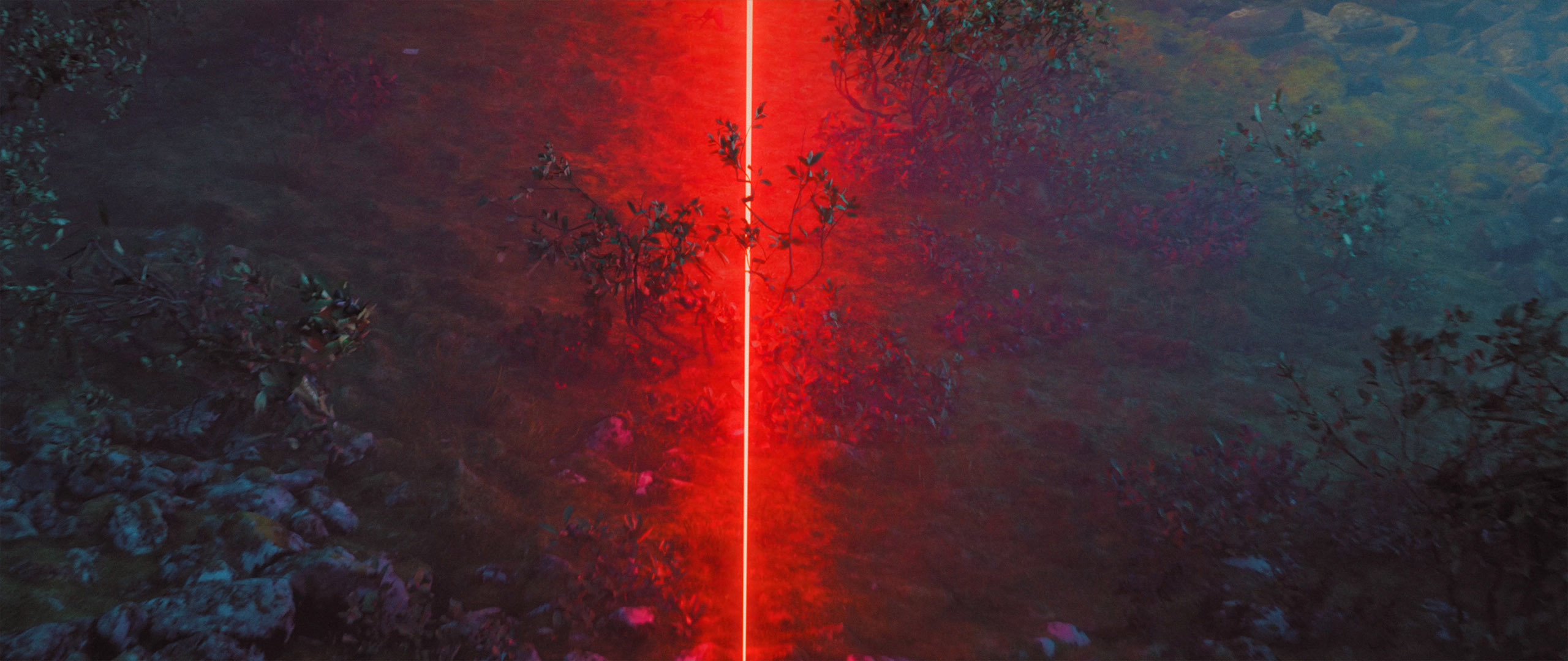 Automobile design，Alpine A110，automobile culture，