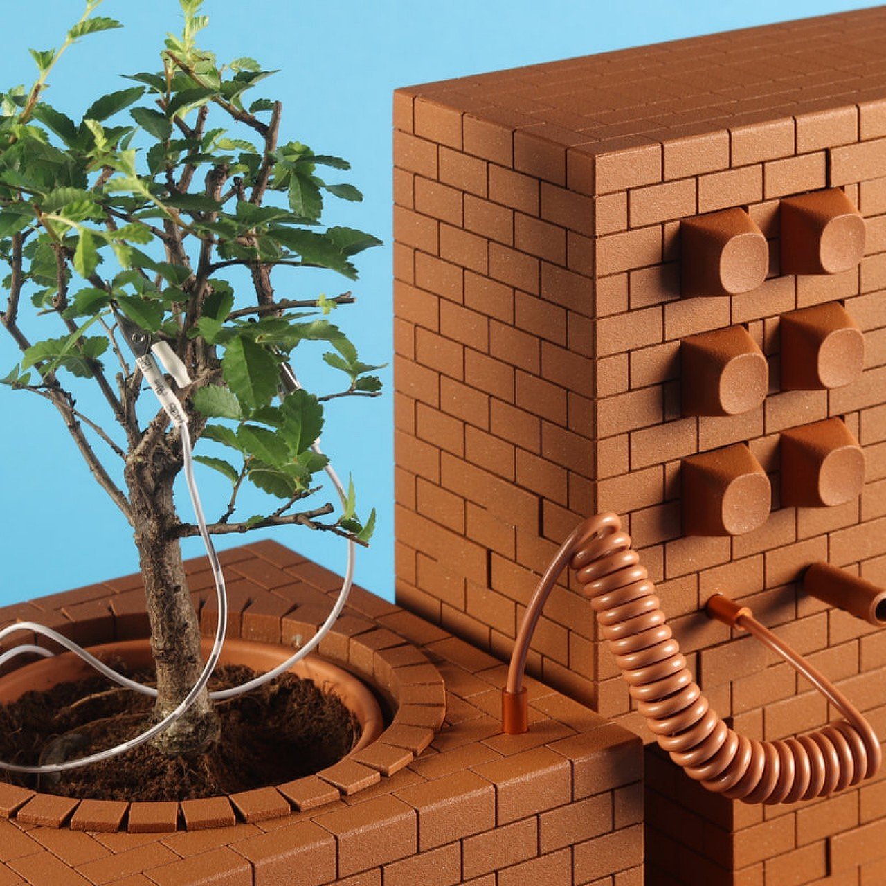 audio wave，Sound sculpture，music，Tegel，Bonsai Tree，