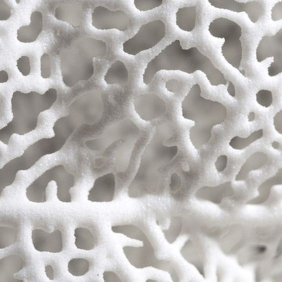 Candlestick，Coral reef，SILENCE，Ornaments，