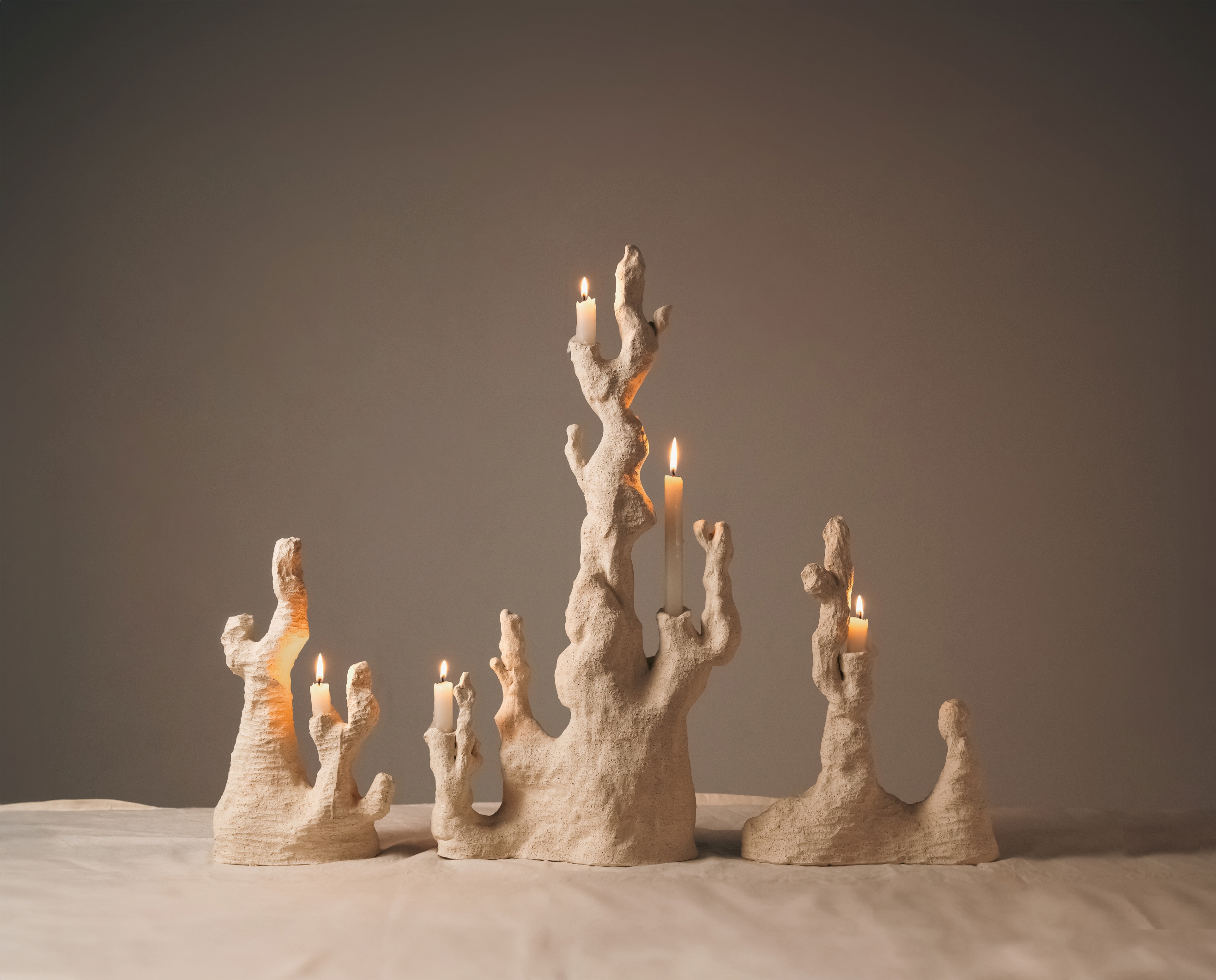 Candlestick，Coral reef，SILENCE，Ornaments，