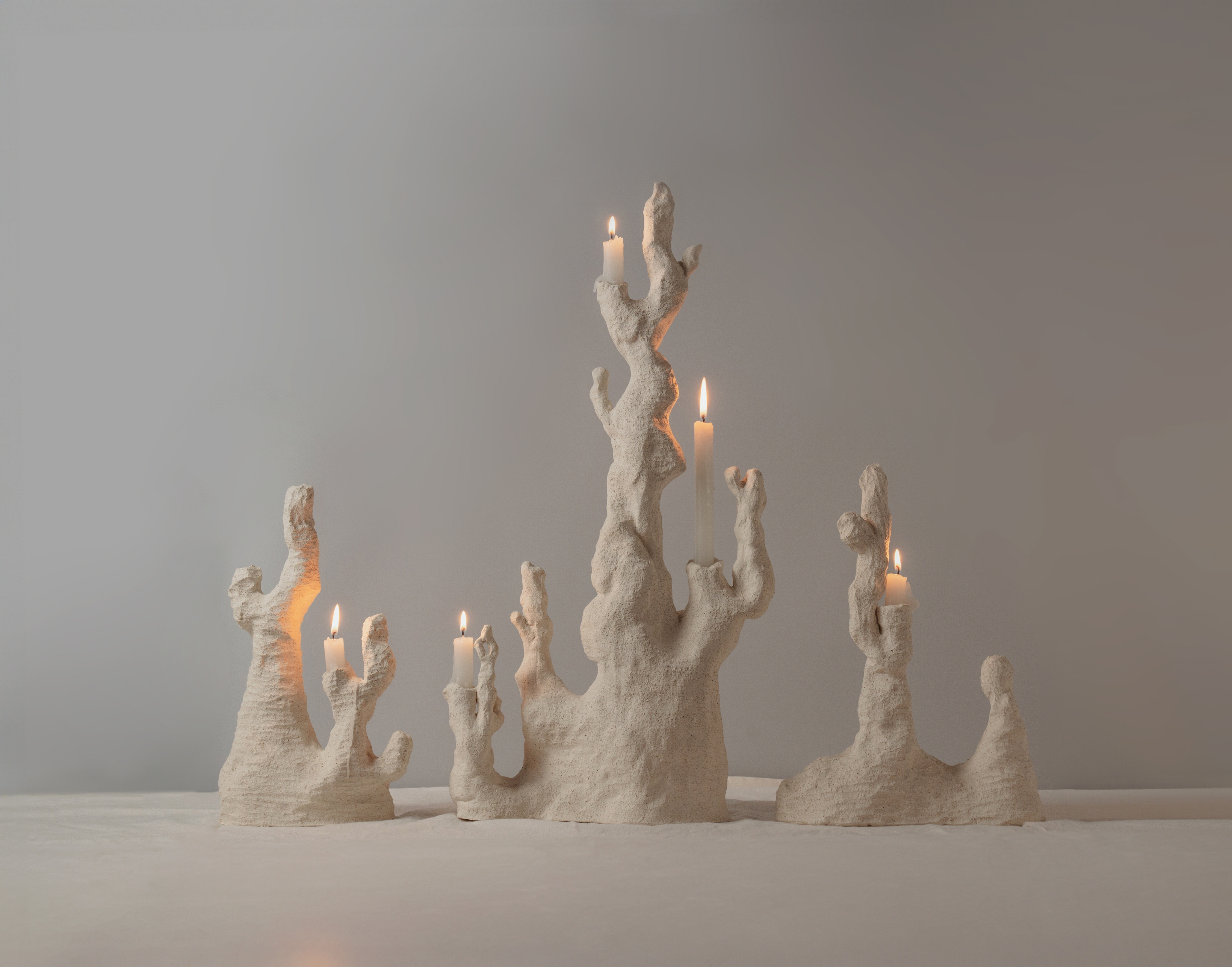 Candlestick，Coral reef，SILENCE，Ornaments，