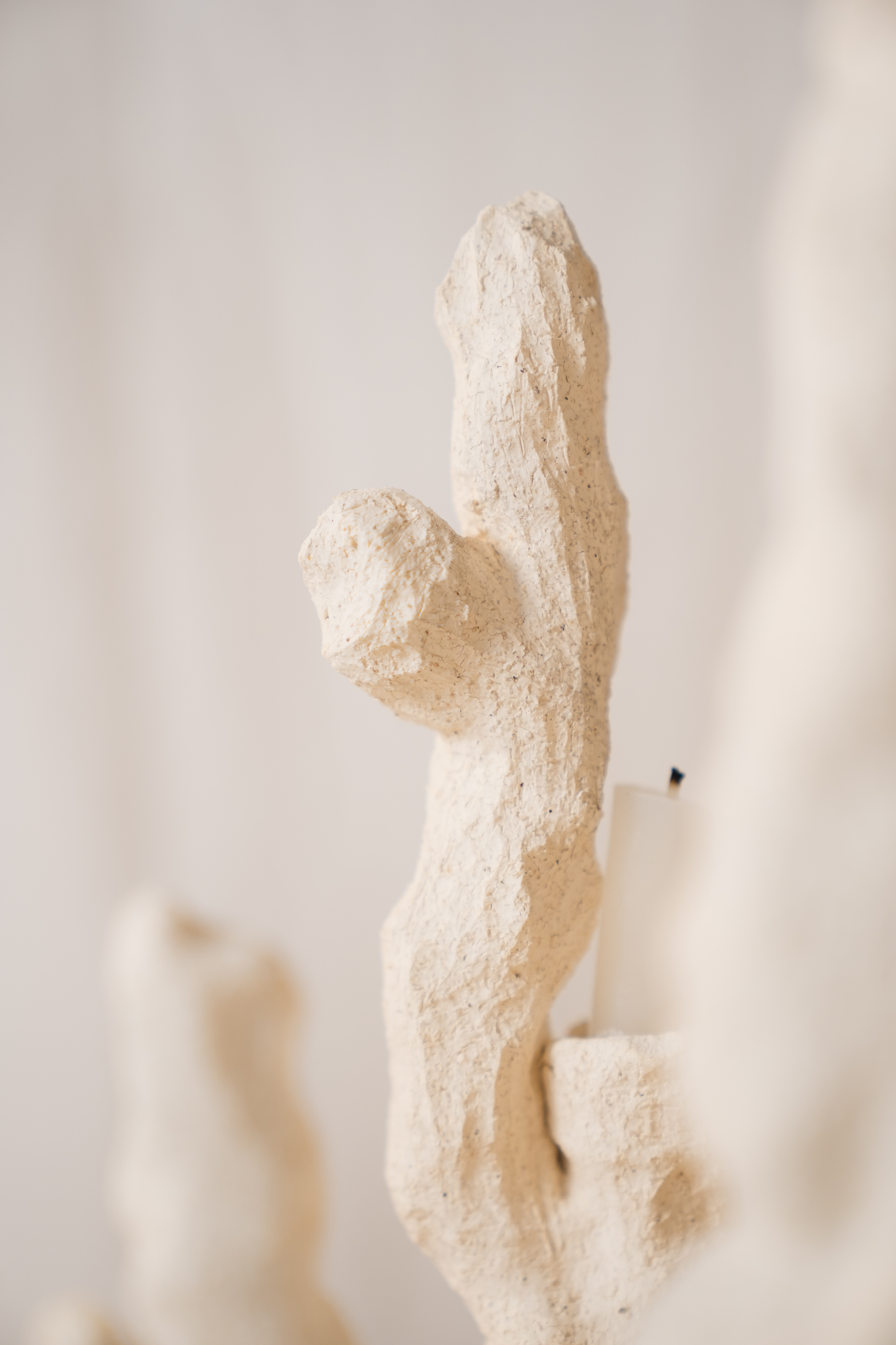 Candlestick，Coral reef，SILENCE，Ornaments，