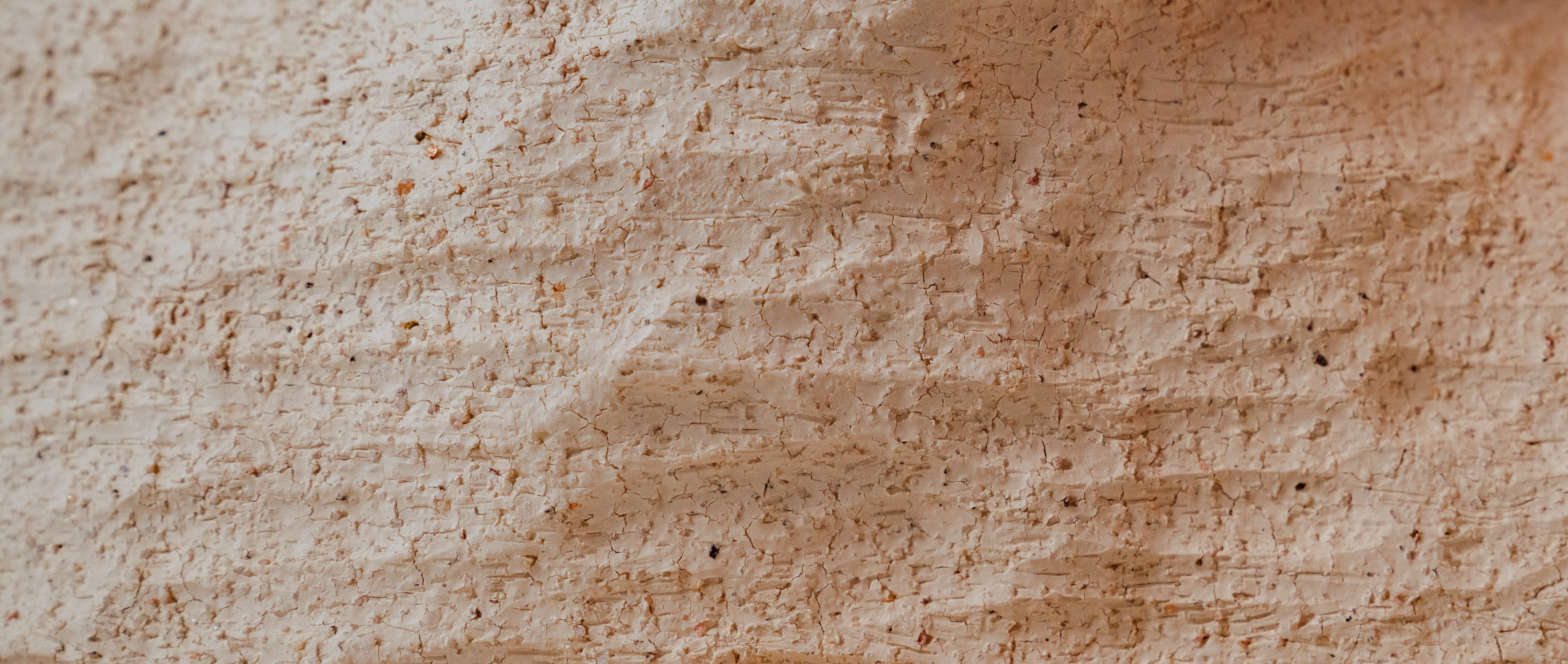 Candlestick，Coral reef，SILENCE，Ornaments，