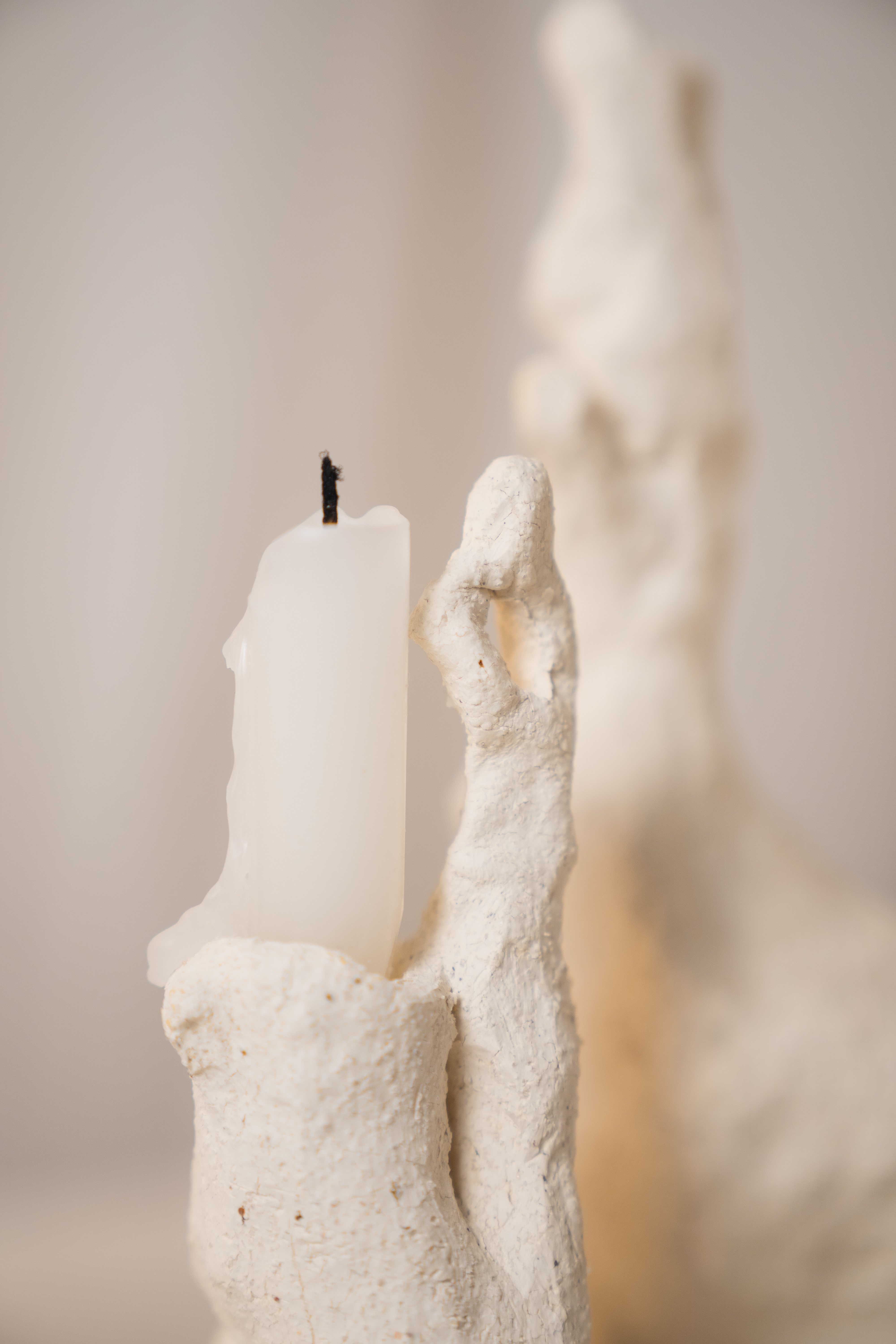 Candlestick，Coral reef，SILENCE，Ornaments，