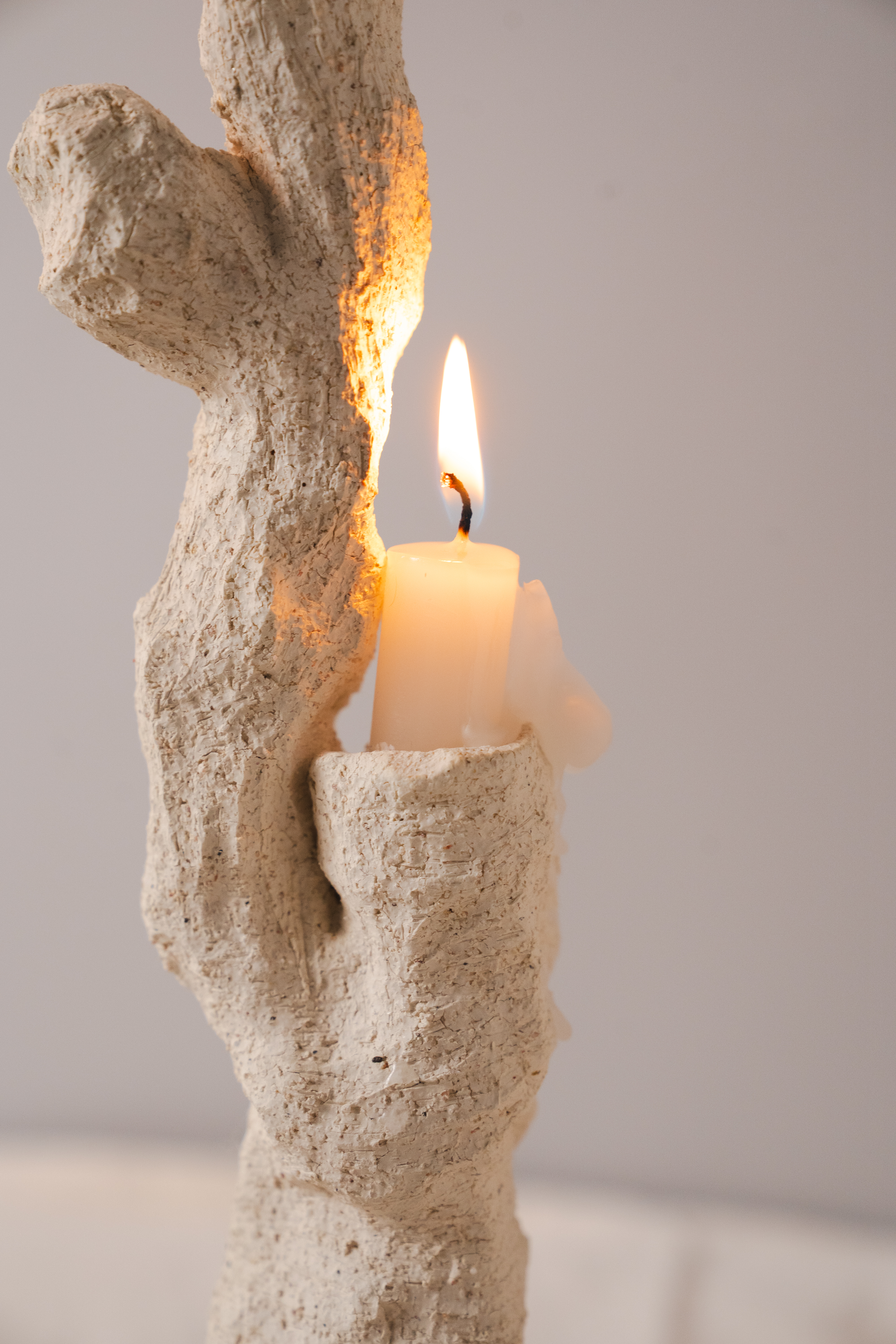 Candlestick，Coral reef，SILENCE，Ornaments，