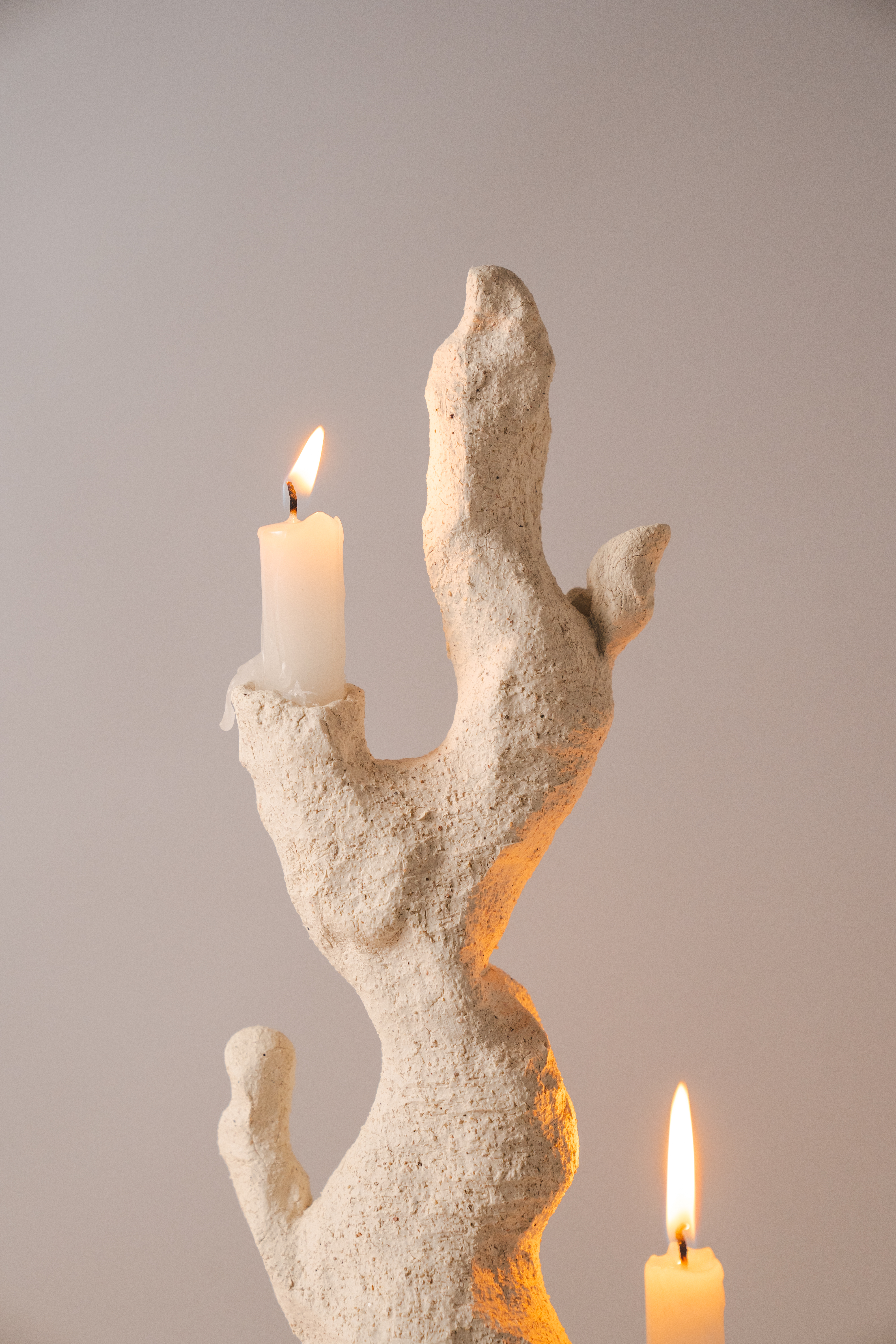 Candlestick，Coral reef，SILENCE，Ornaments，