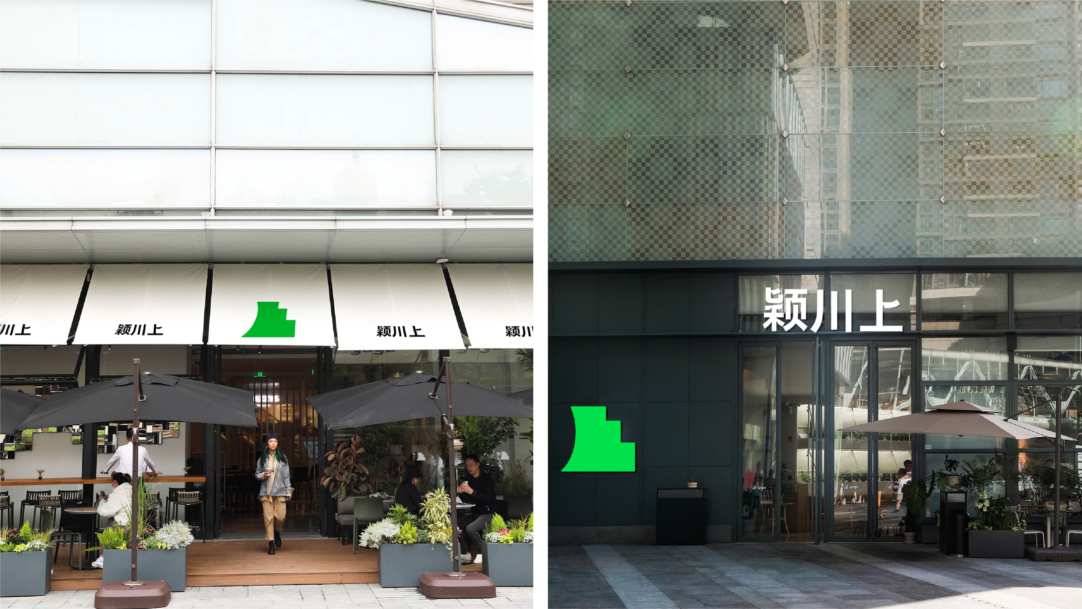 Logo design, original, brand design, logo, packaging，