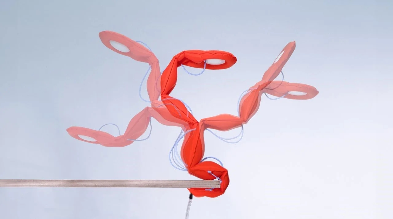 lamp，lighting，SQUEEZE，