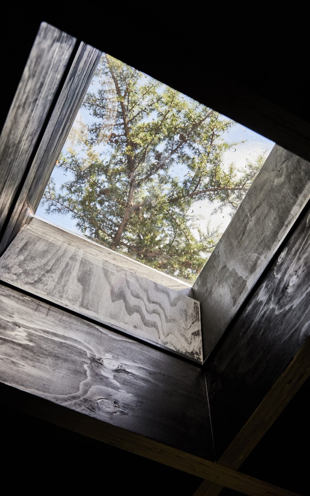 Architectural design，house，residence，Lattice Wood Roof，Lebanese Cedar Tree，